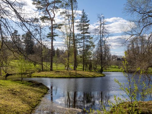 Free Tranquil lakeside scene with trees reflecting in the water on a bright sunny day. Stock Photo