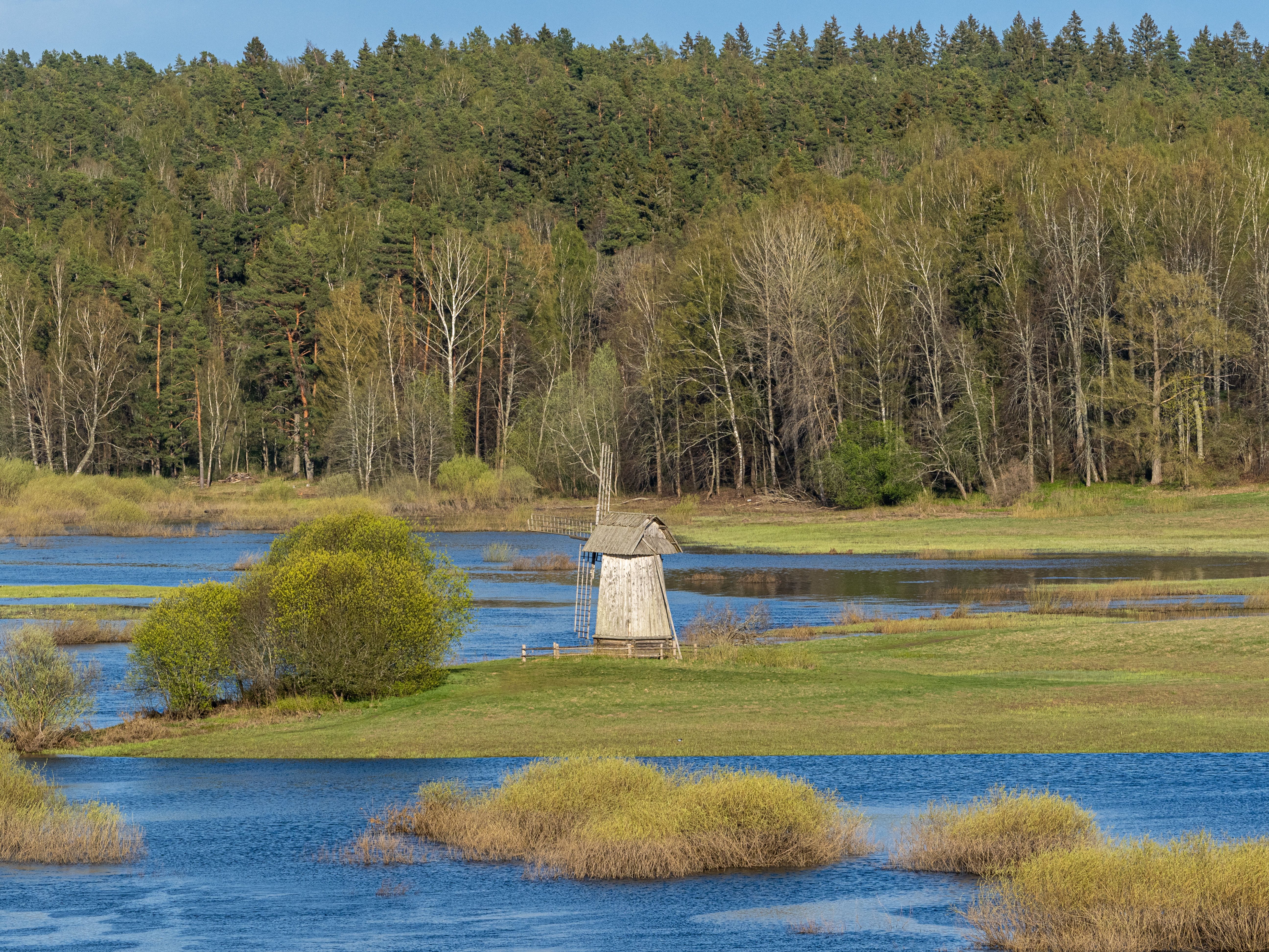 Flooded meadow and alder forest in Soomaa National Park during the spring high water