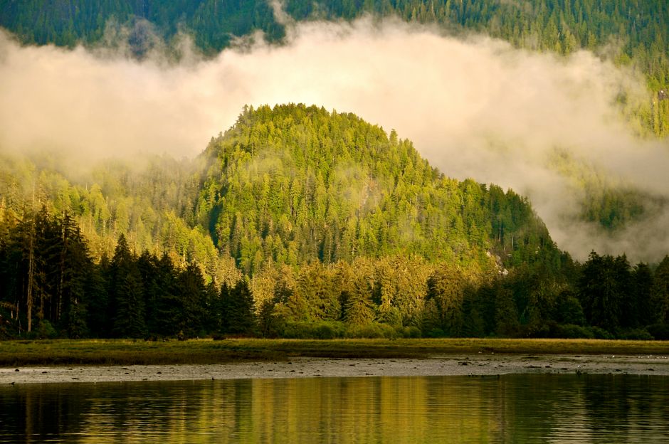Coquitlam Mudslide Hits as Massive Atmospheric River Slams B.C.'s South Coast