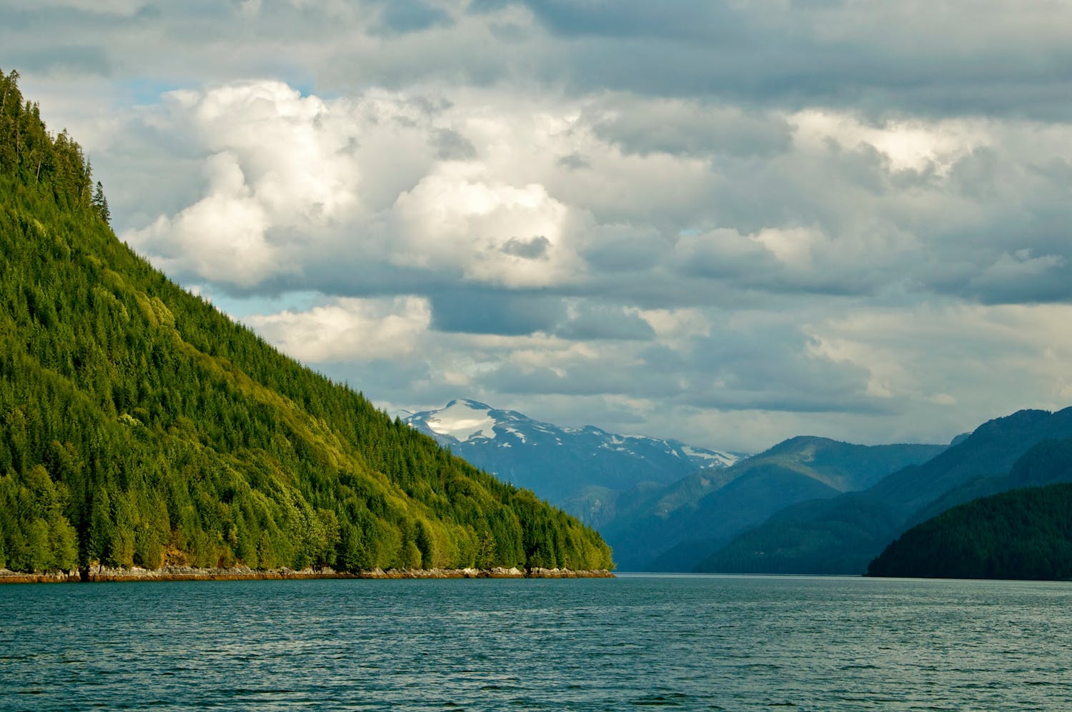 Lush green forest mountains