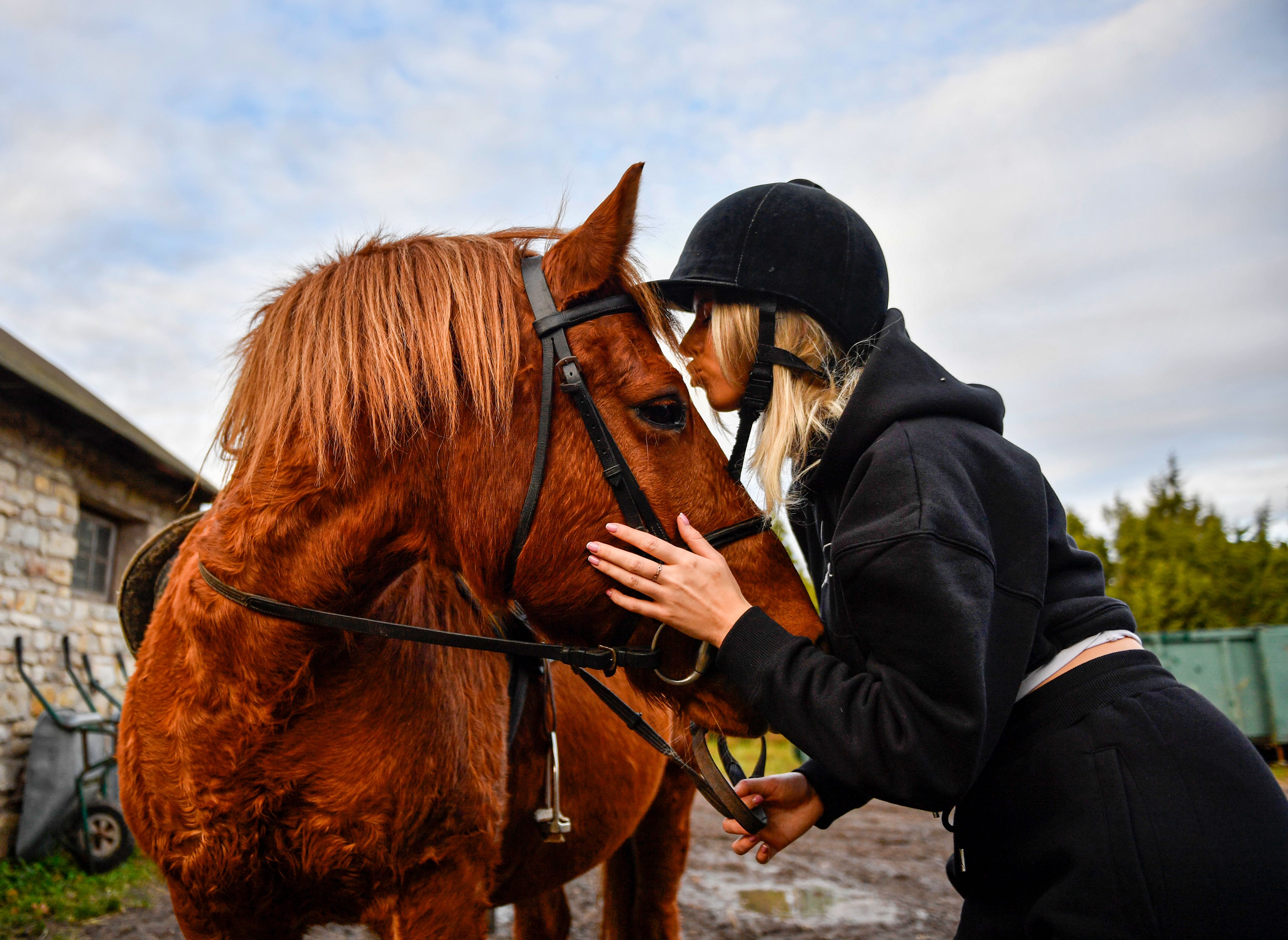 Equine Therapy: Healing with Horses in India