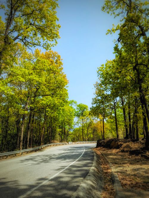 Free A winding road through a lush green forest captures the essence of spring travel. Stock Photo