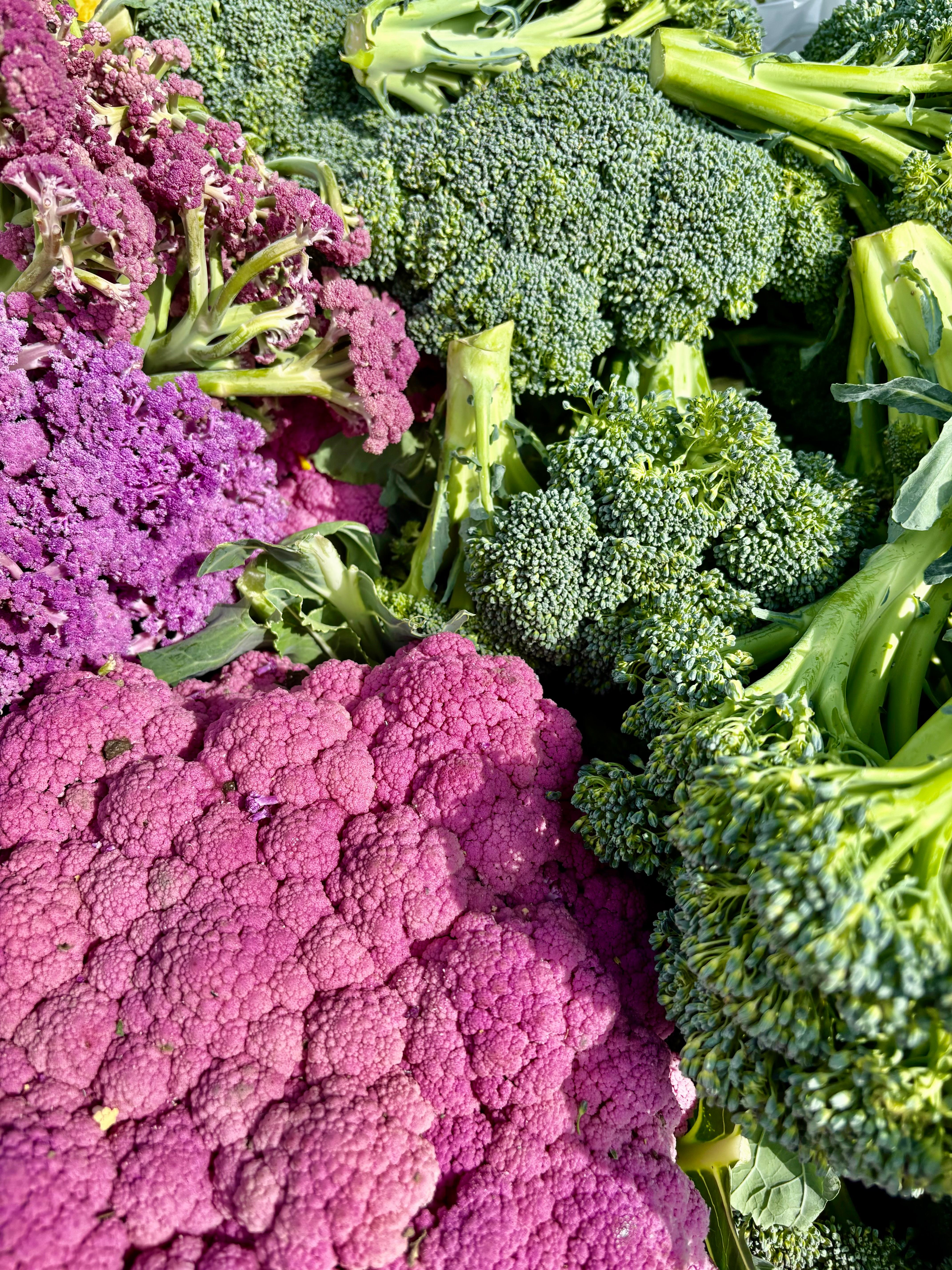 Colorful Display of Purple and Green Broccoli · Free Stock Photo