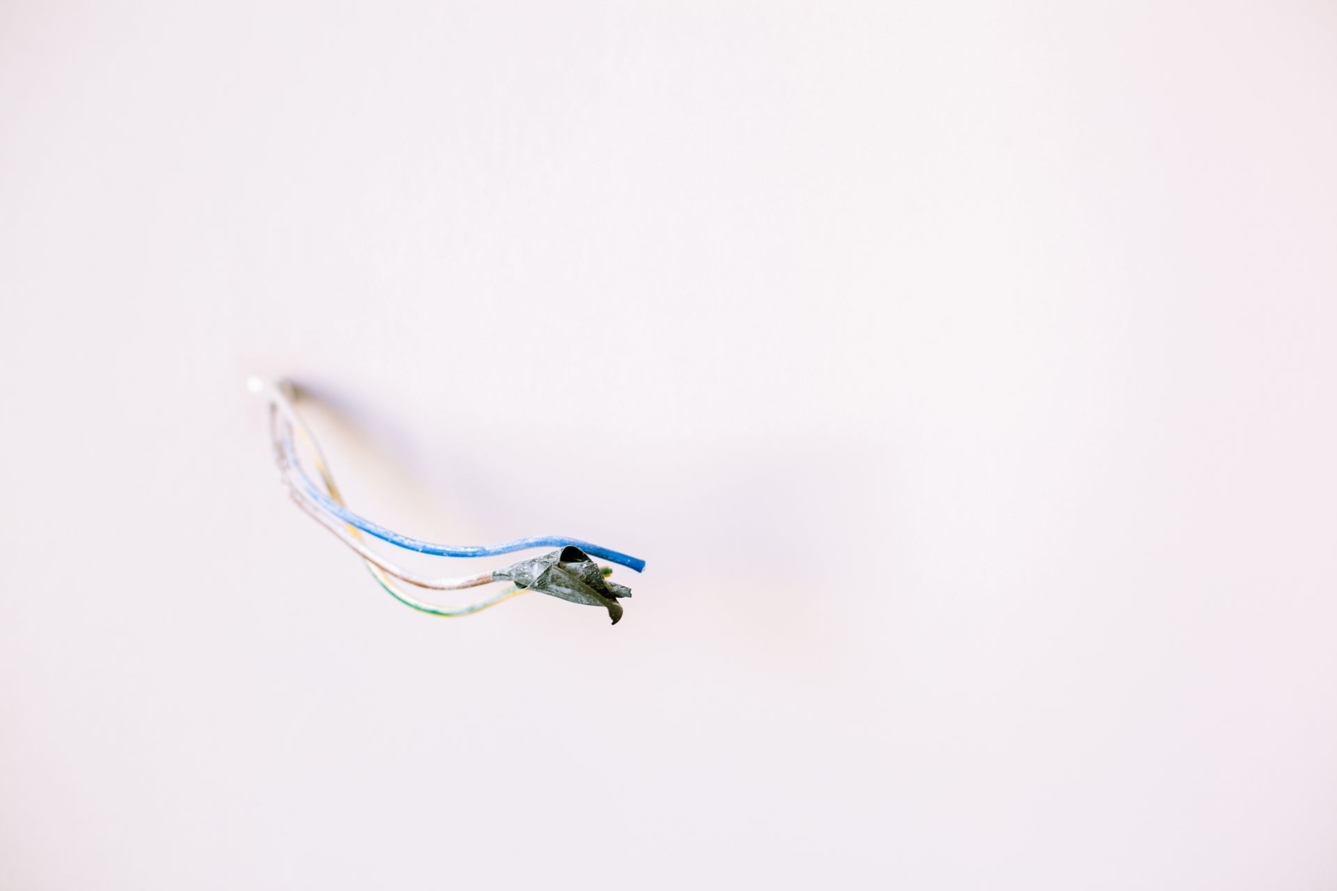 Photo of Electrical Wires