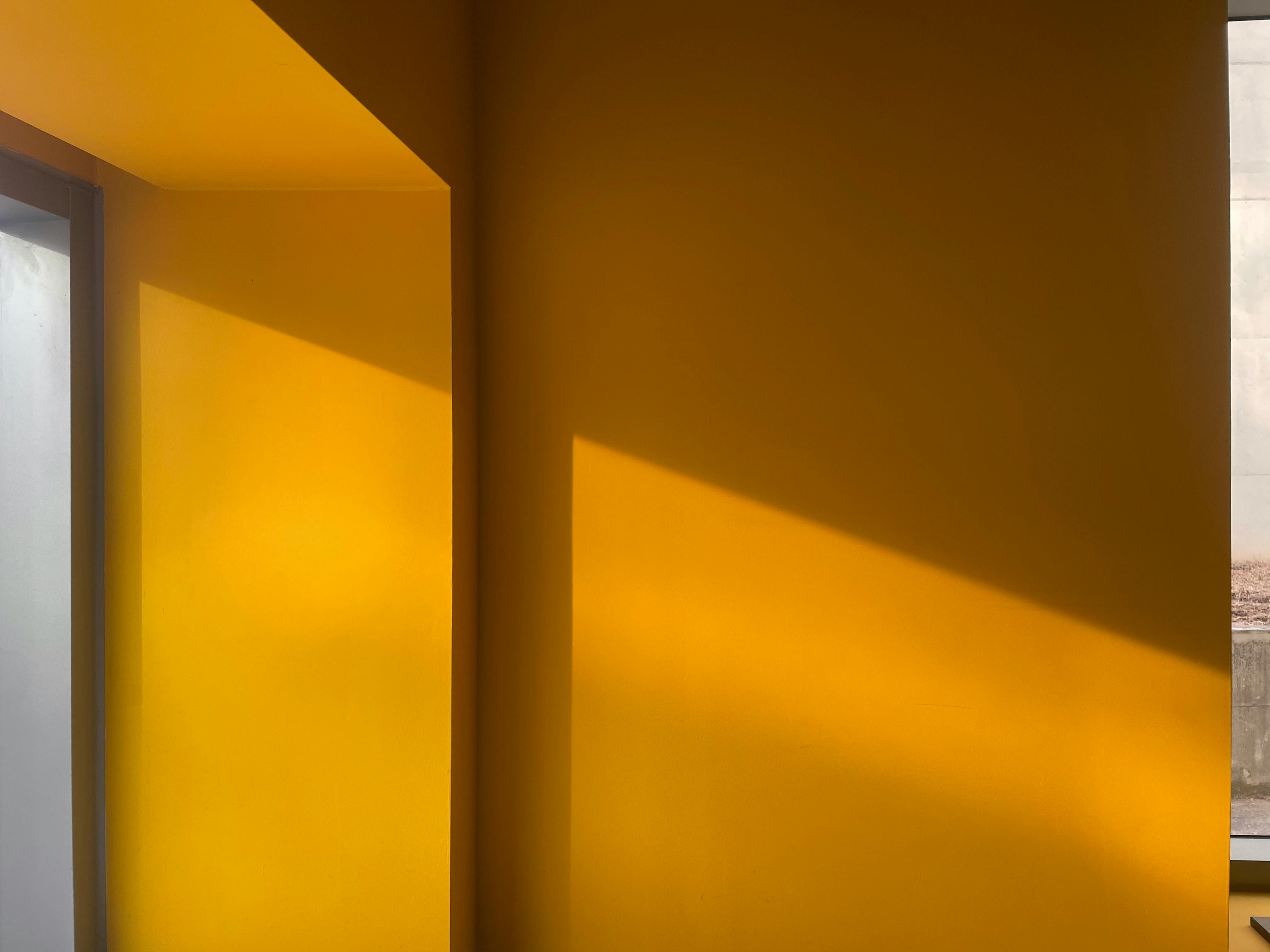 Miễn phí Ảnh lưu trữ miễn phí về ánh sáng mặt trời, ánh sáng tự nhiên, ánh sáng và bóng tối Ảnh lưu trữ