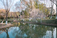 Serene Spring Landscape with Reflections