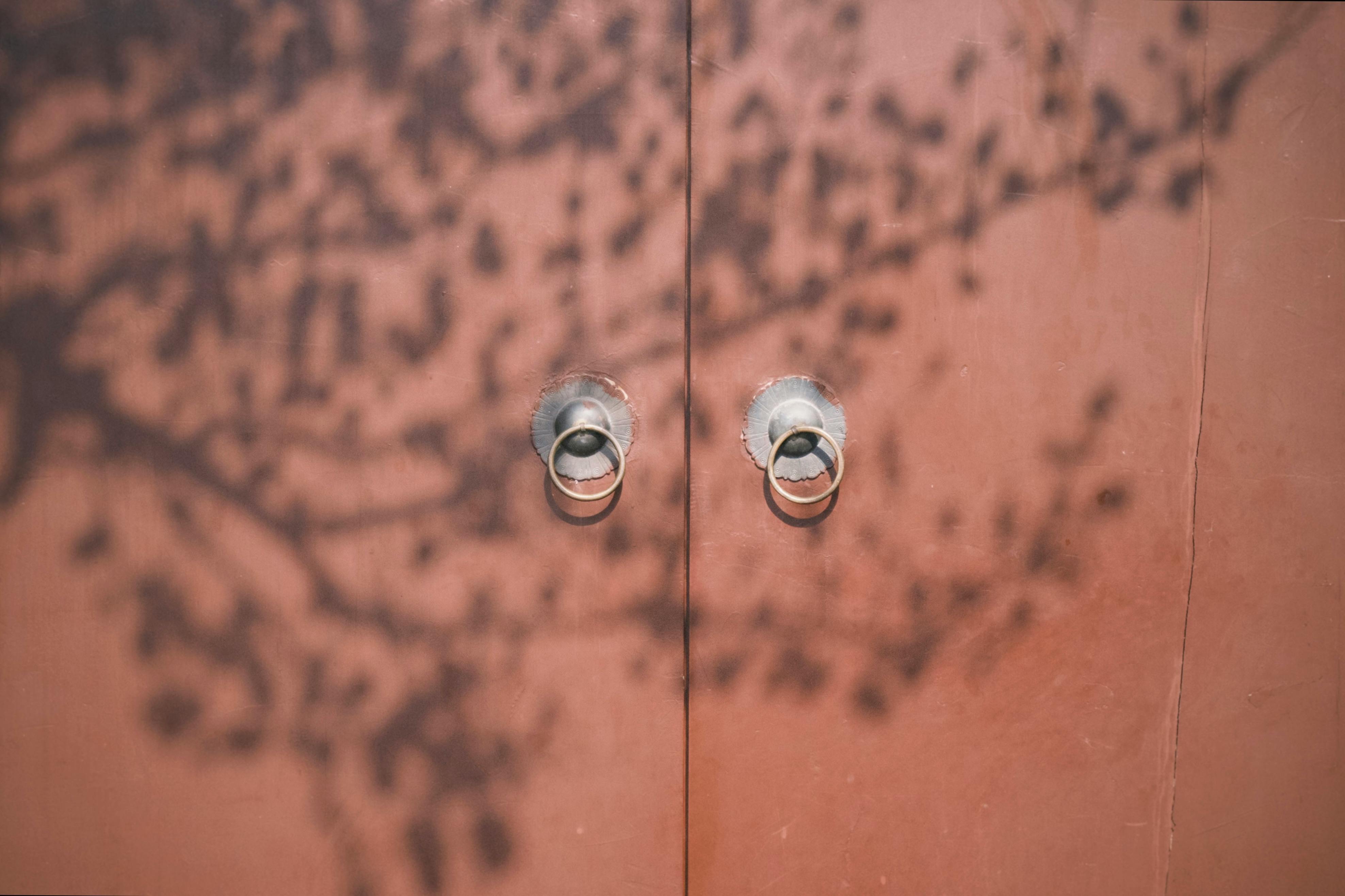 De franc Ombra De Flors De Pruner En Una Antiga Porta Vermella D'estil Xinès Foto d'estoc