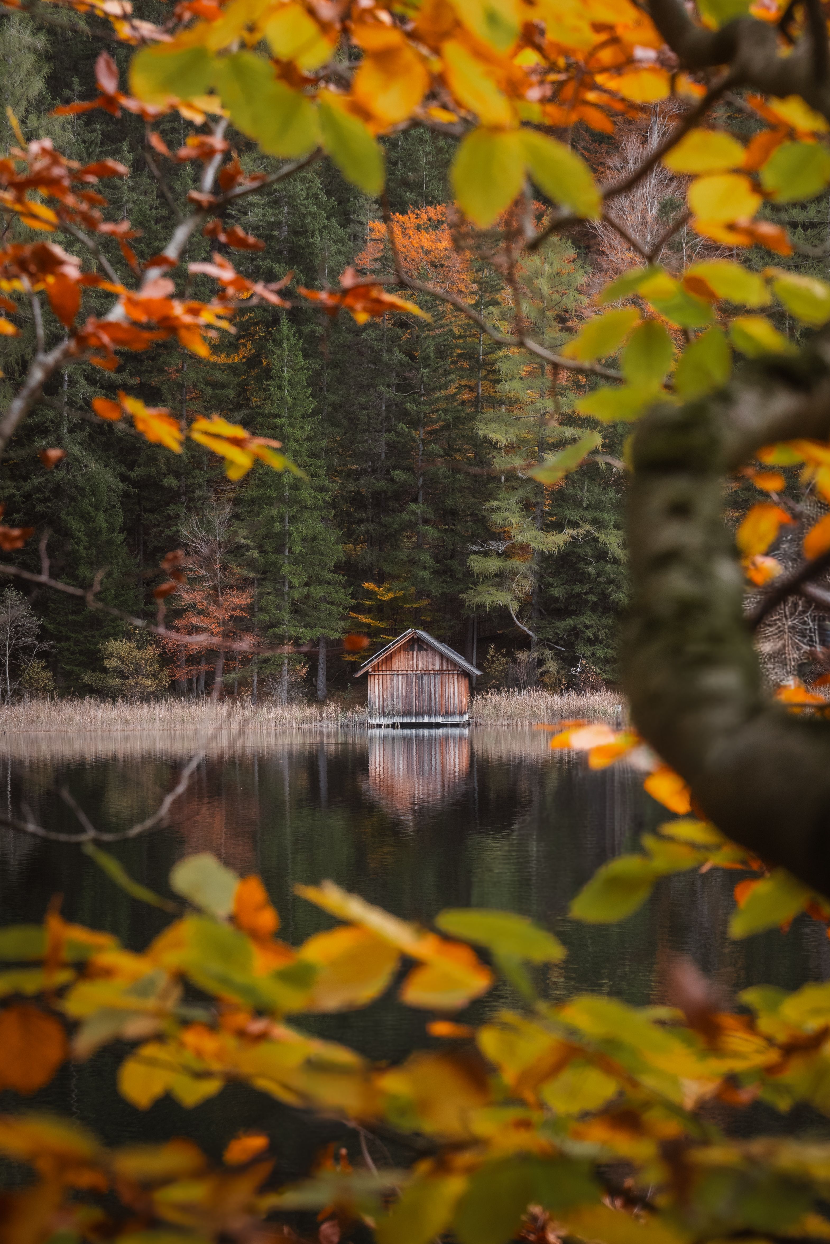 Serene autumn scene of a cozy cabin reflecting in a quiet lake surrounded by colorful fall leaves.