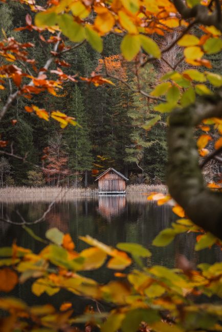 Serene autumn scene of a cozy cabin reflecting in a quiet lake surrounded by colorful fall leaves.