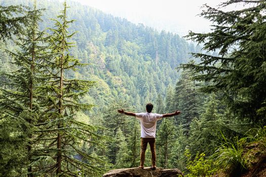 Man in white shirt stands on rock embracing forest surroundings.