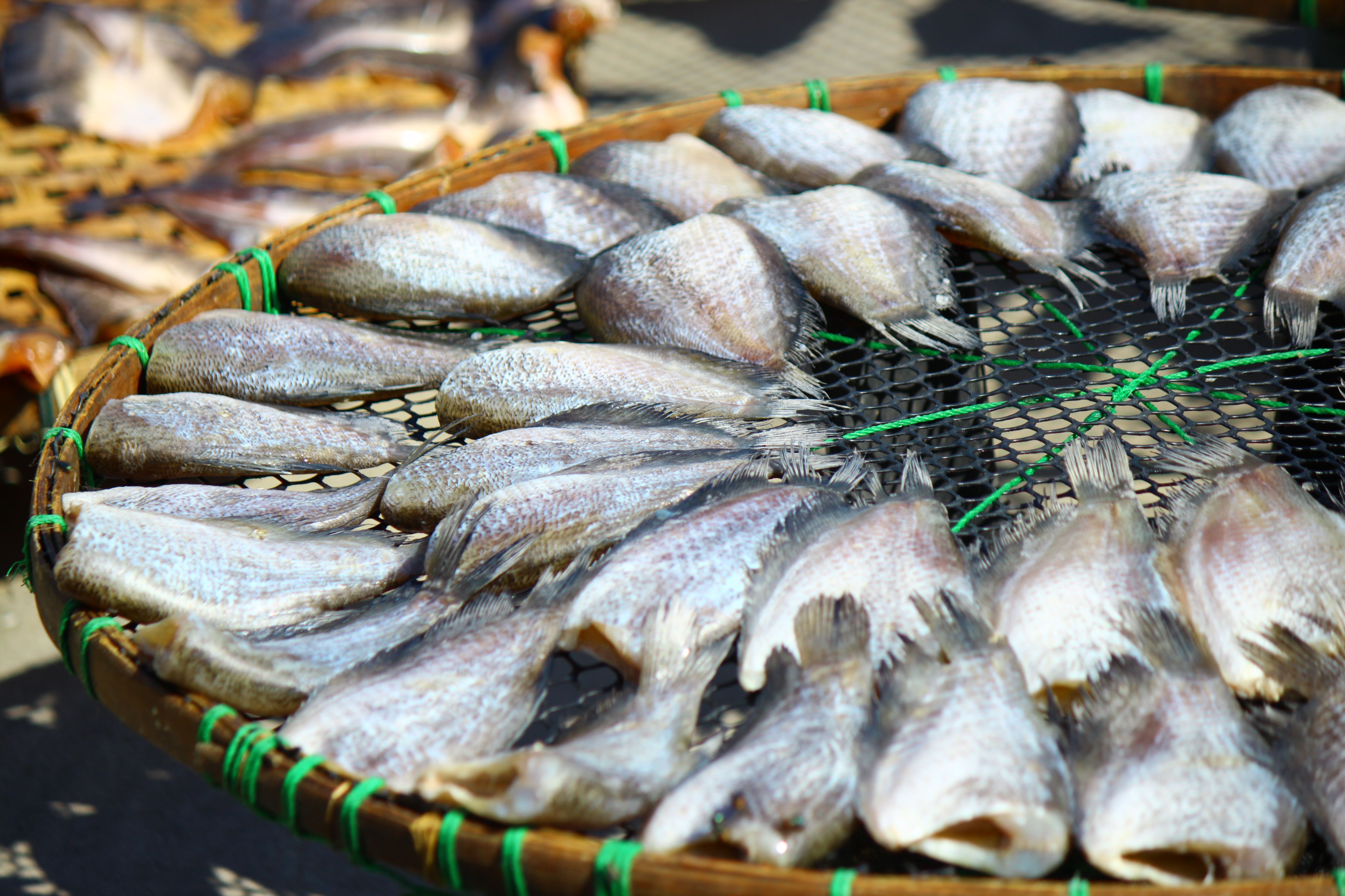 Fresh Fish Drying Outdoors on Round Mesh Tray · Free Stock Photo