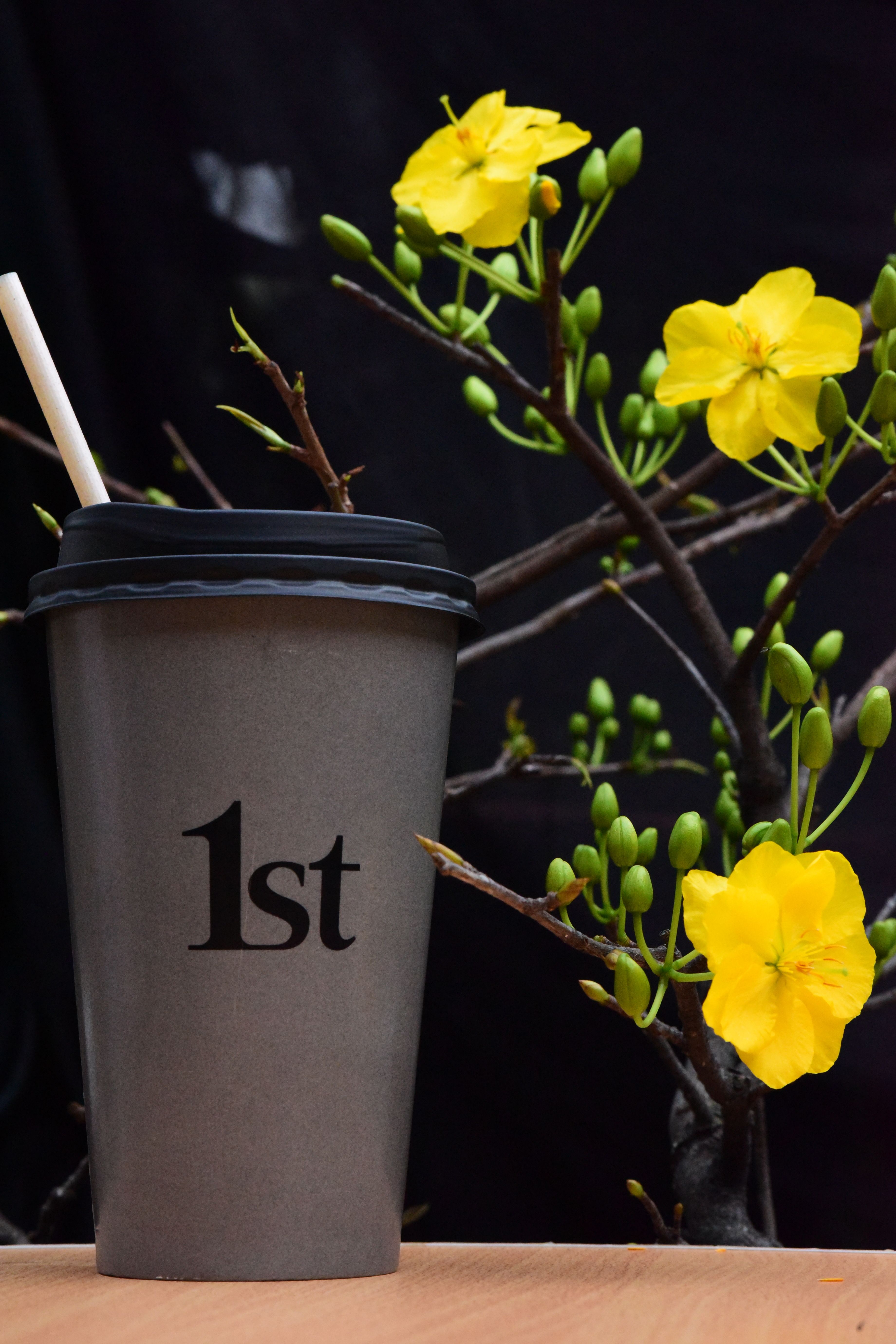 Compostable coffee cup with a black lid and vibrant yellow flowers on a dark background.
