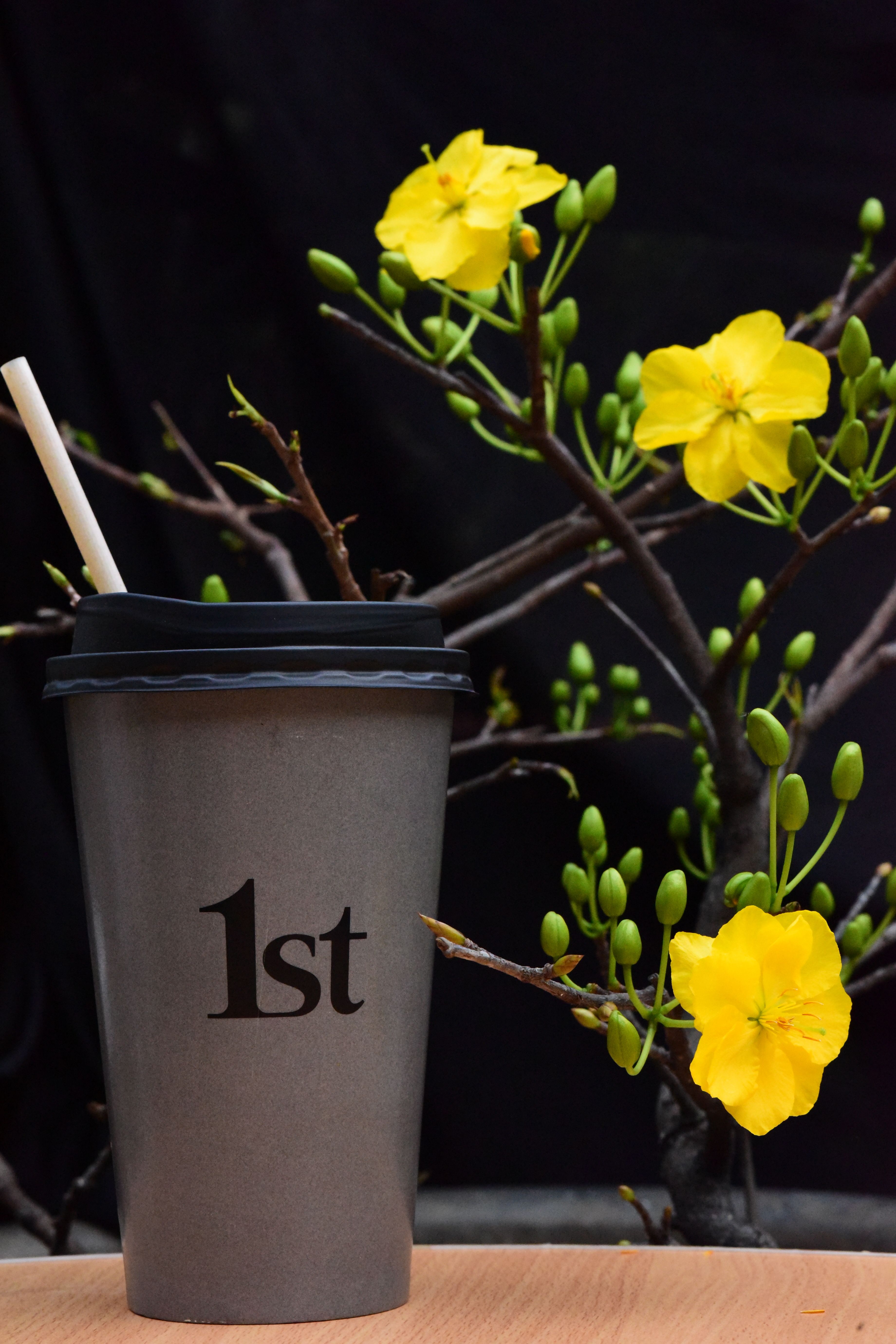 A stylish coffee cup with '1st' text alongside blooming yellow camellia flowers on a dark backdrop.