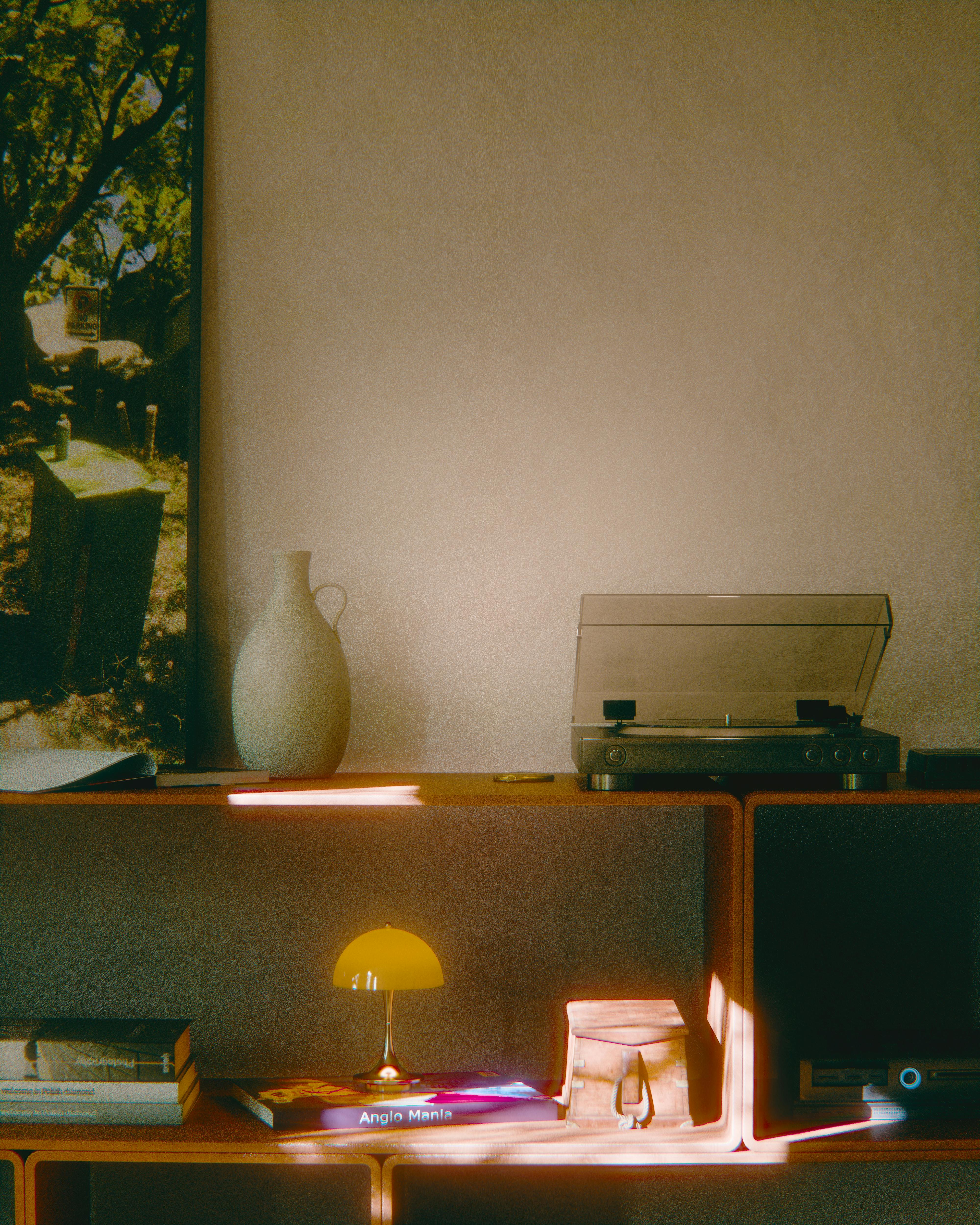 Gratuit Decor vintage cald pentru living, cu platan și cărți pe rafturi. Fotografie de stoc