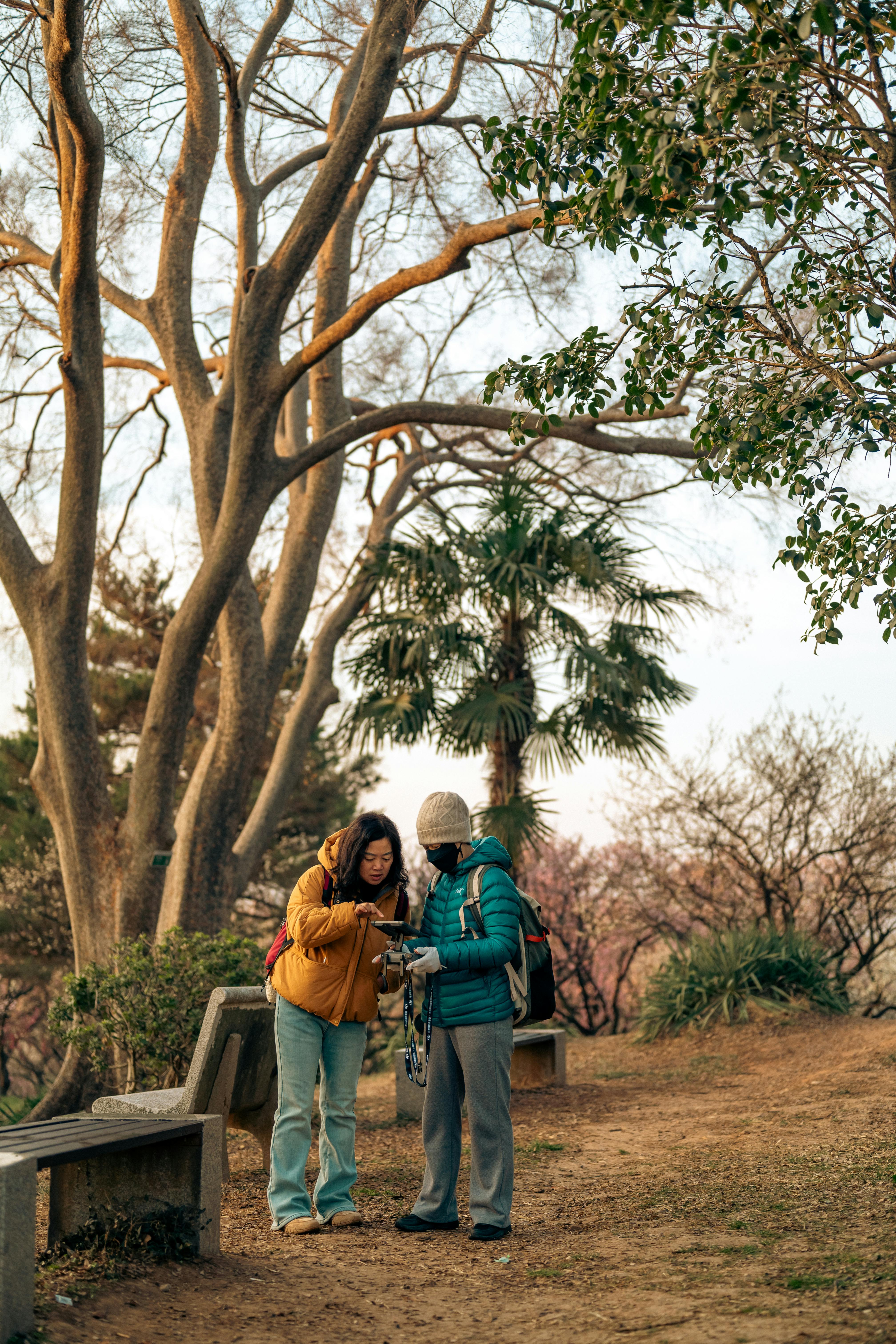 Two Friends Enjoying a Sunrise Walk in Nanjing