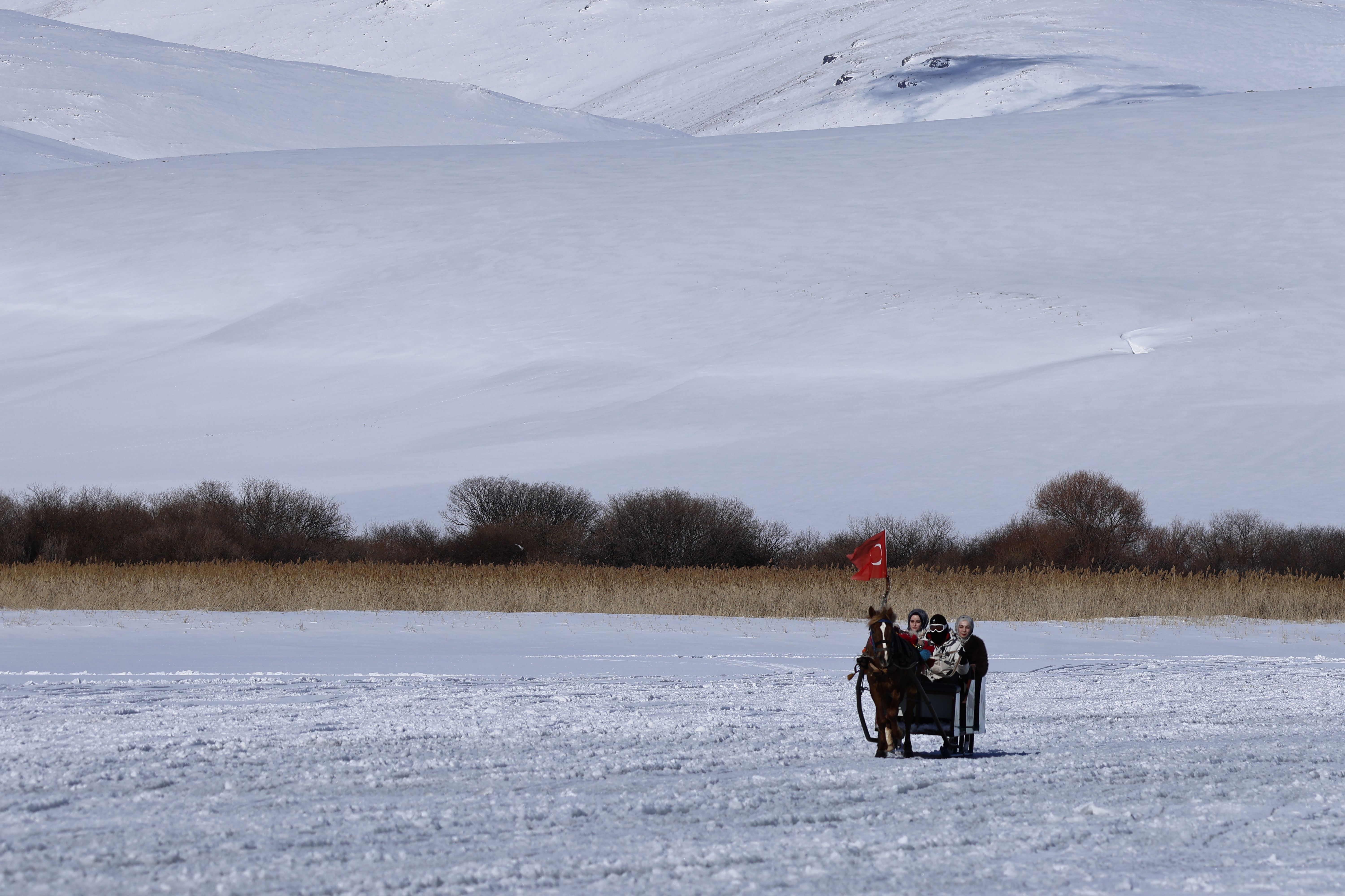 People enjoy a horse-drawn sleigh ride across a snowy landscape in Türkiye.