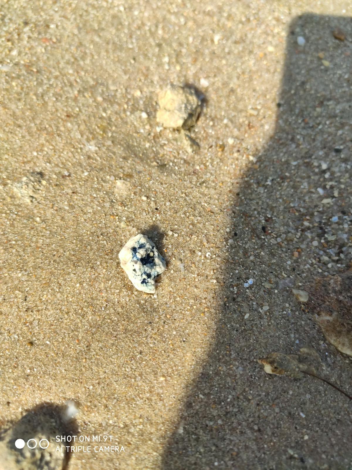 Gato Orina Fuera del Arenero: Causas y Soluciones