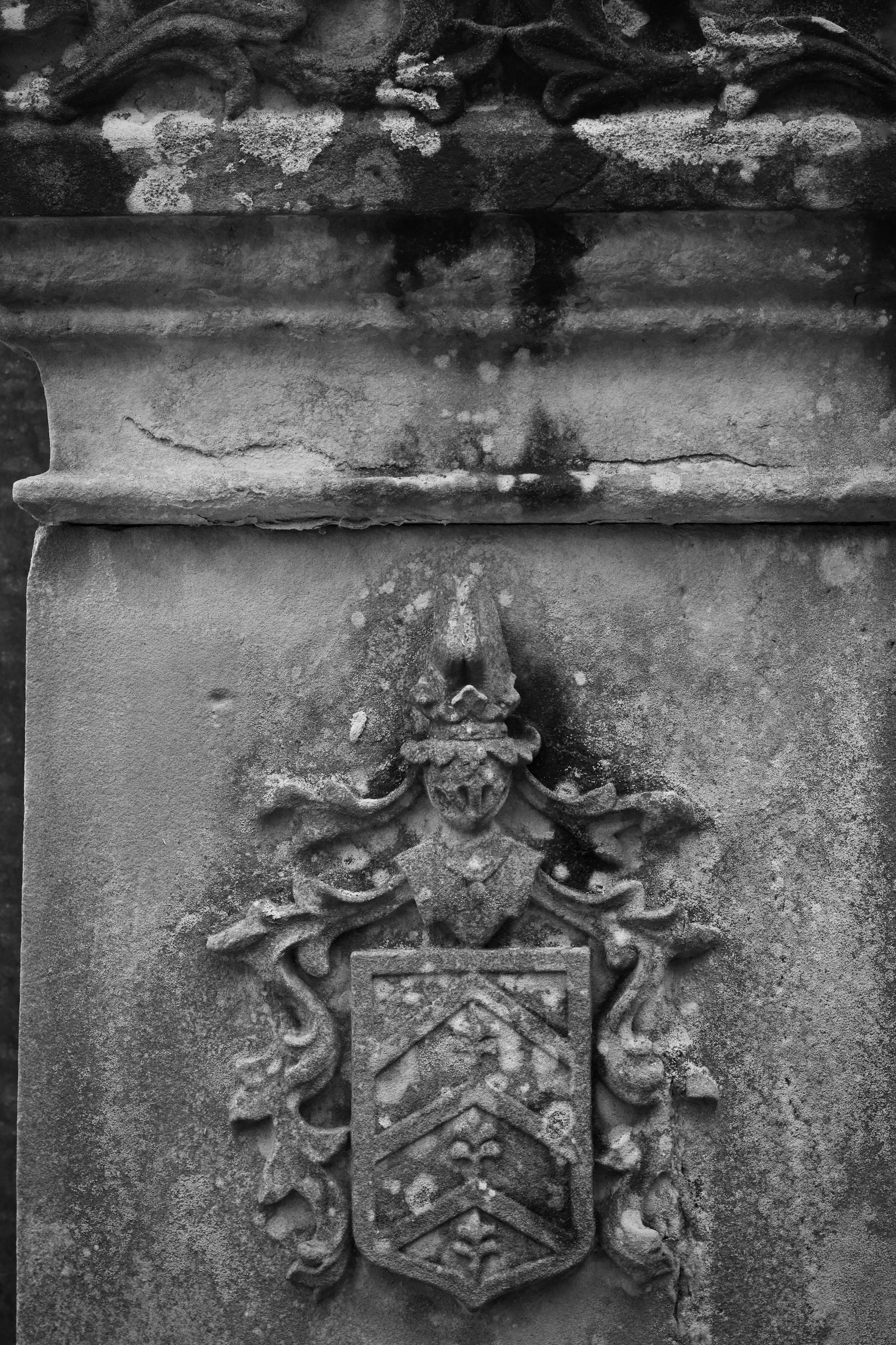 Gratuit Photo en noir et blanc d'armoiries détaillées sculptées dans un vieux mur de pierre, évoquant une élégance historique. Photos