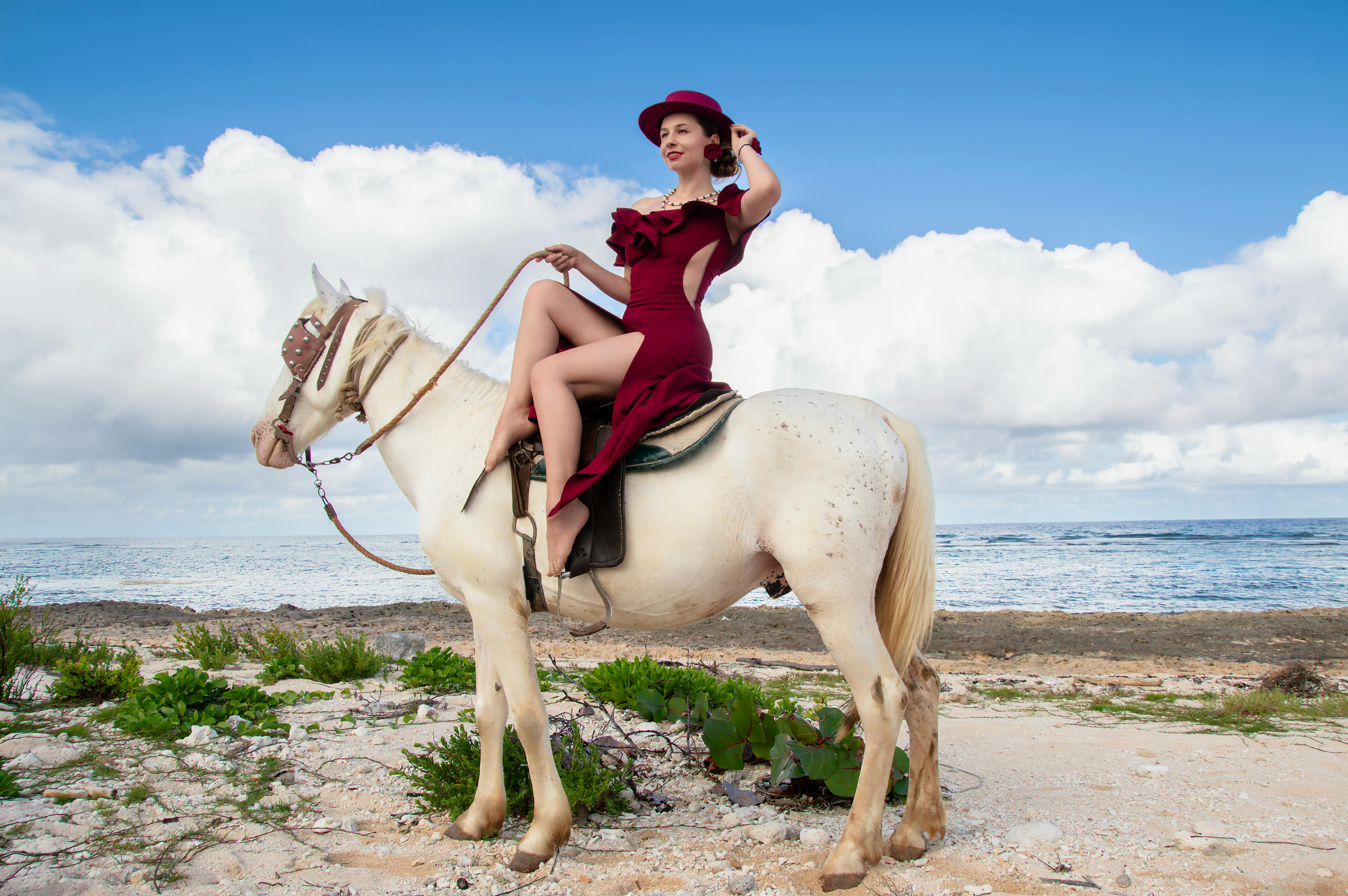 Gratis Donna elegante in abito bordeaux su un cavallo bianco in riva al mare. Foto a disposizione