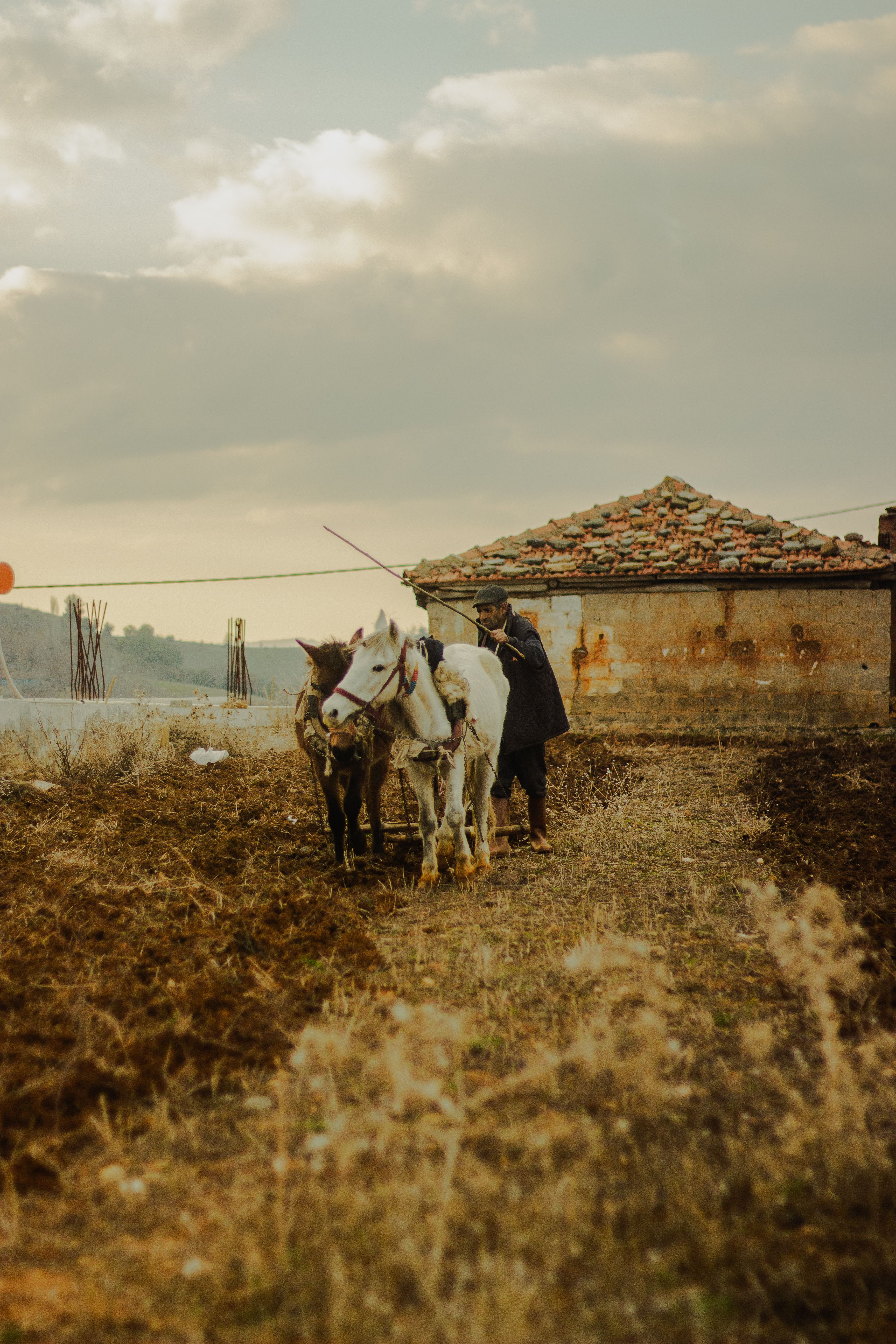 Rural Scene with Farmer and Donkeys in Türkiye · Free Stock Photo