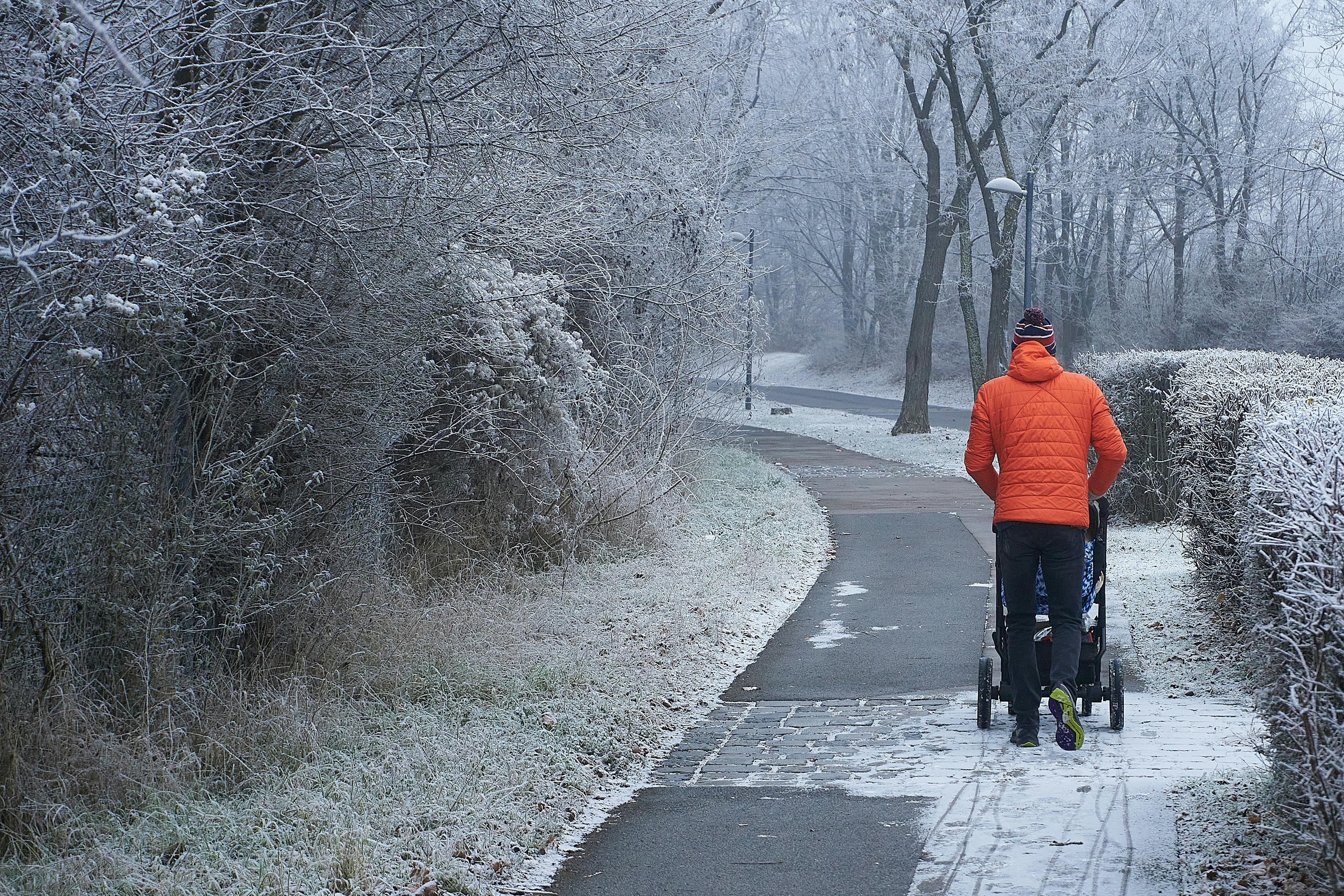 Man Pushing a Stroller