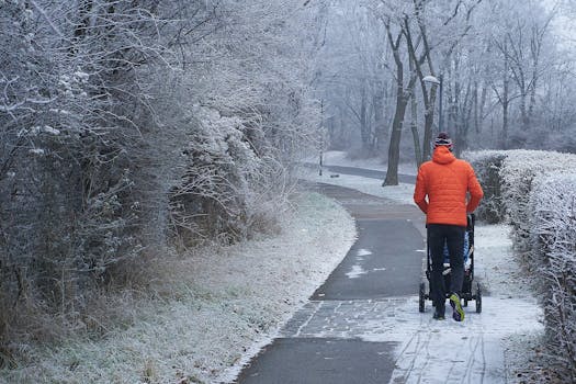白天，一名身穿红色夹克的男子推着婴儿车，沿着维也纳一条霜冻的人行道前行