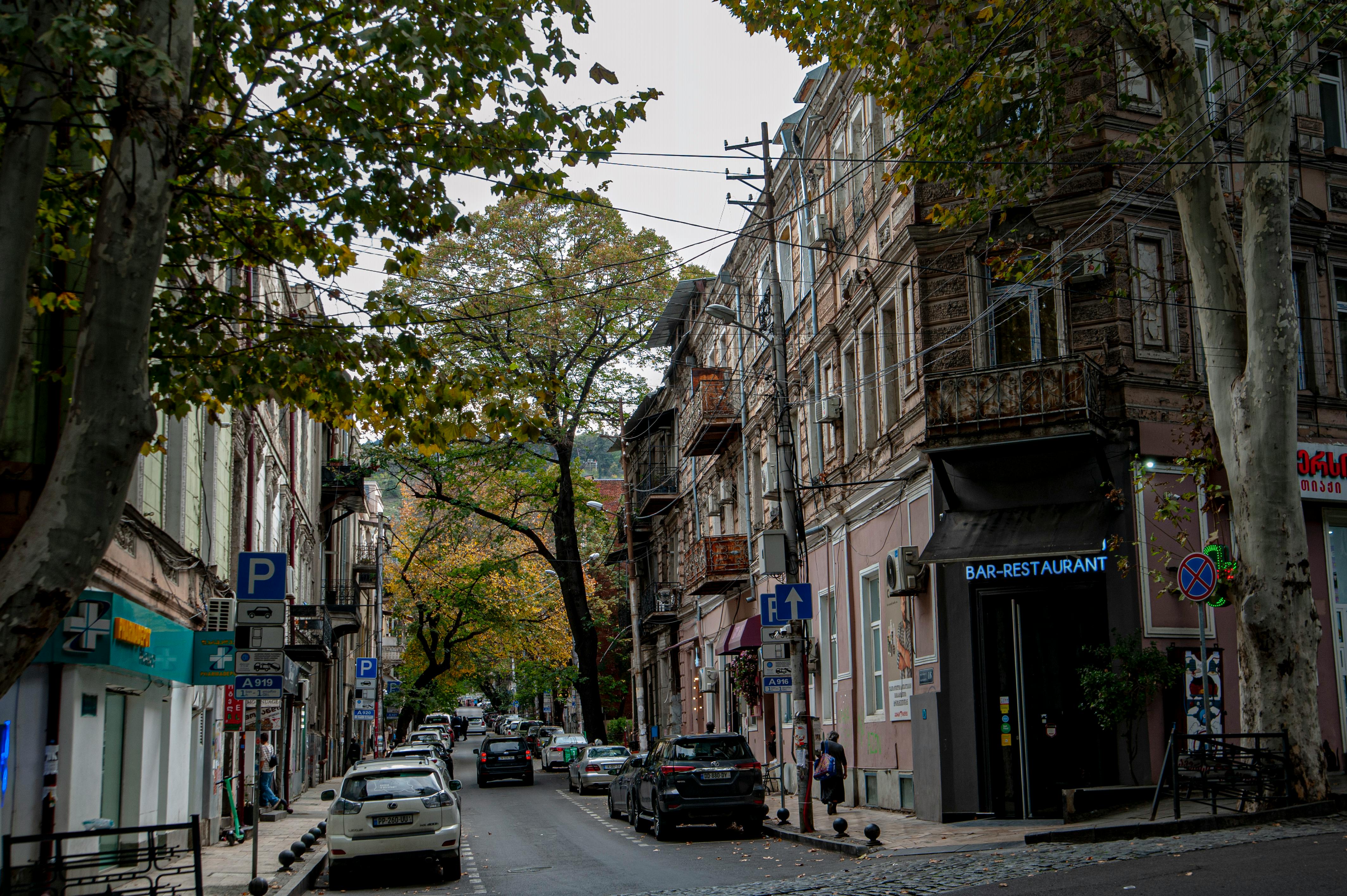 39-7010 Tour and Travel Guides — Photo by levan simonshvili on Pexels