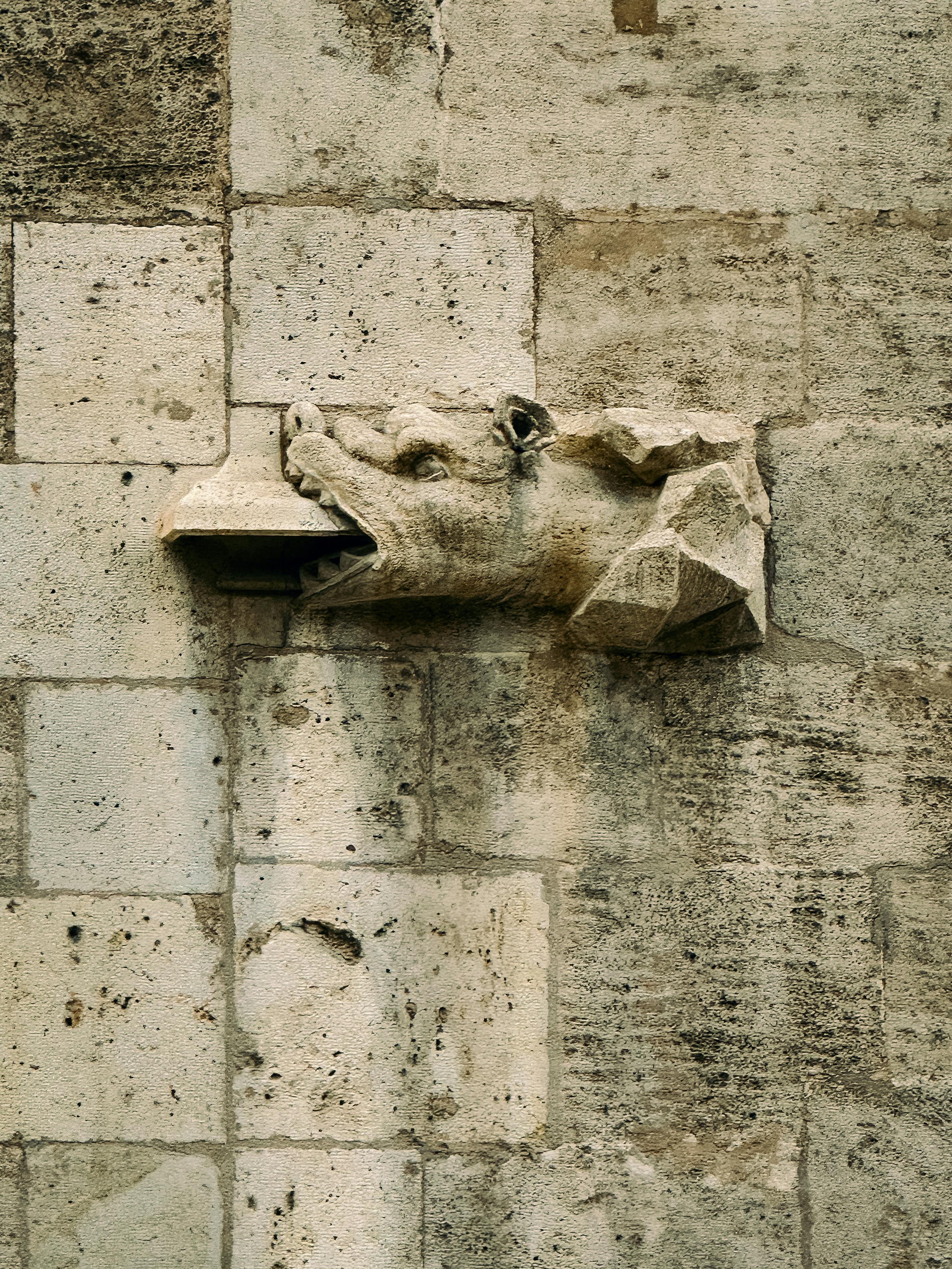 Kostenlos Nahaufnahme einer Wasserspeierfigur an einem mittelalterlichen Gebäude in Valencia, Spanien. Stock-Foto