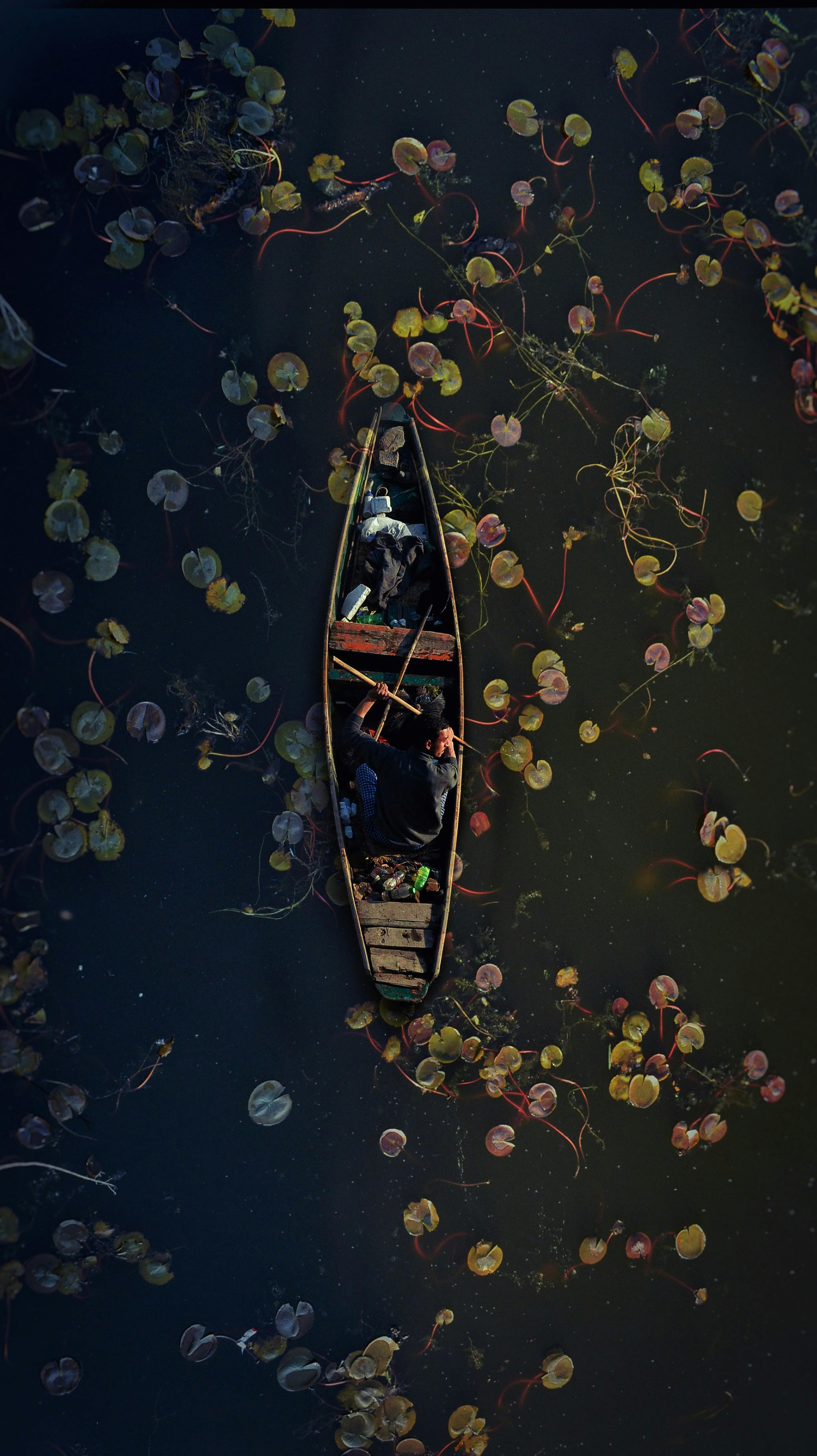 Gratuit O fotografie senină de sus a unei bărci navigând printre nuferi pe Lacul Dal, surprinzând liniștea orașului Srinagar. Fotografie de stoc