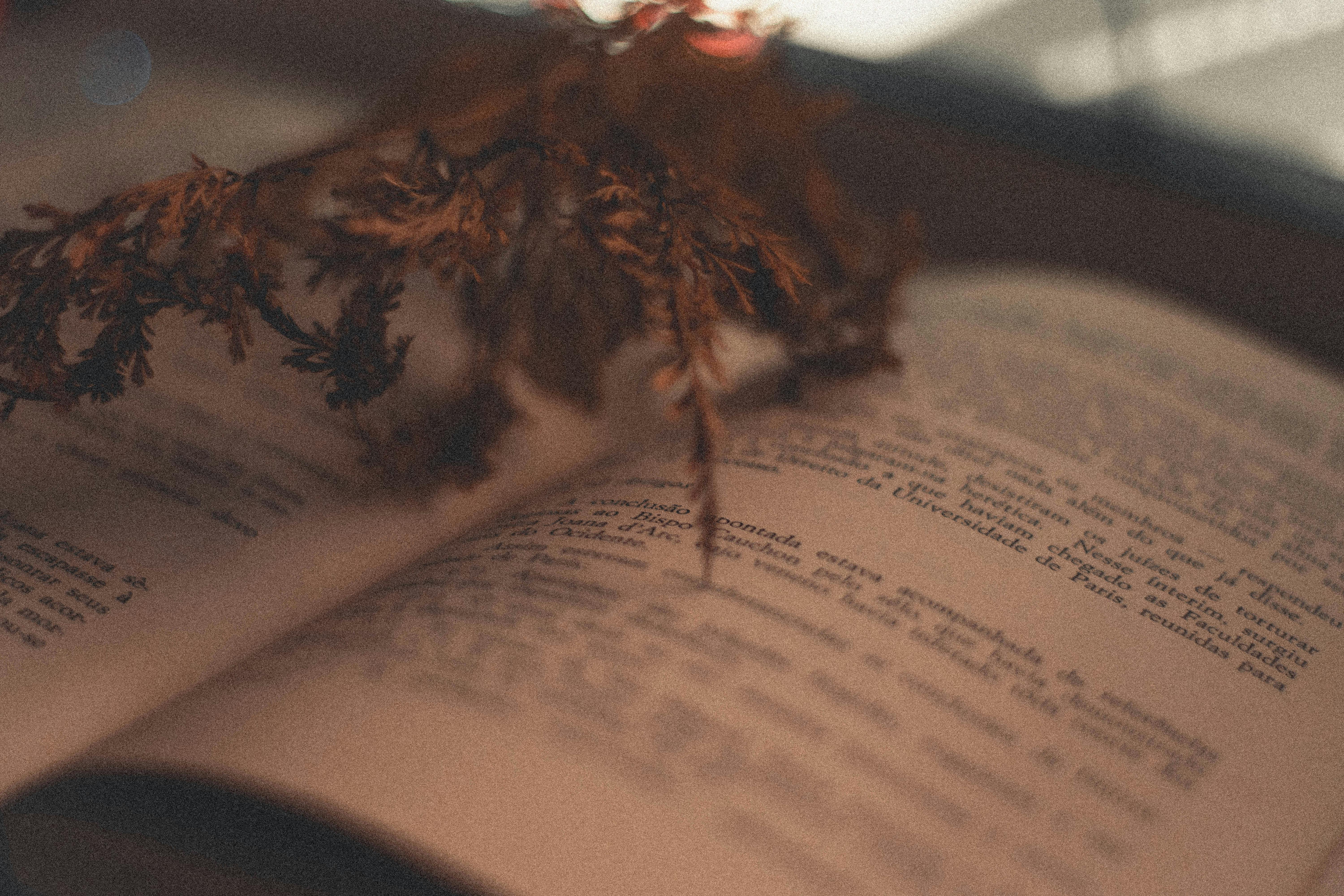 brown leaves on book page