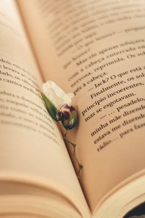 Free Green Flower on Book Page Stock Photo