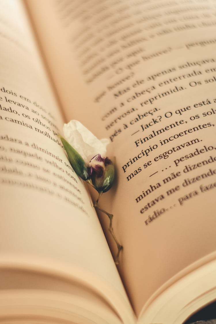 Green Flower On Book Page