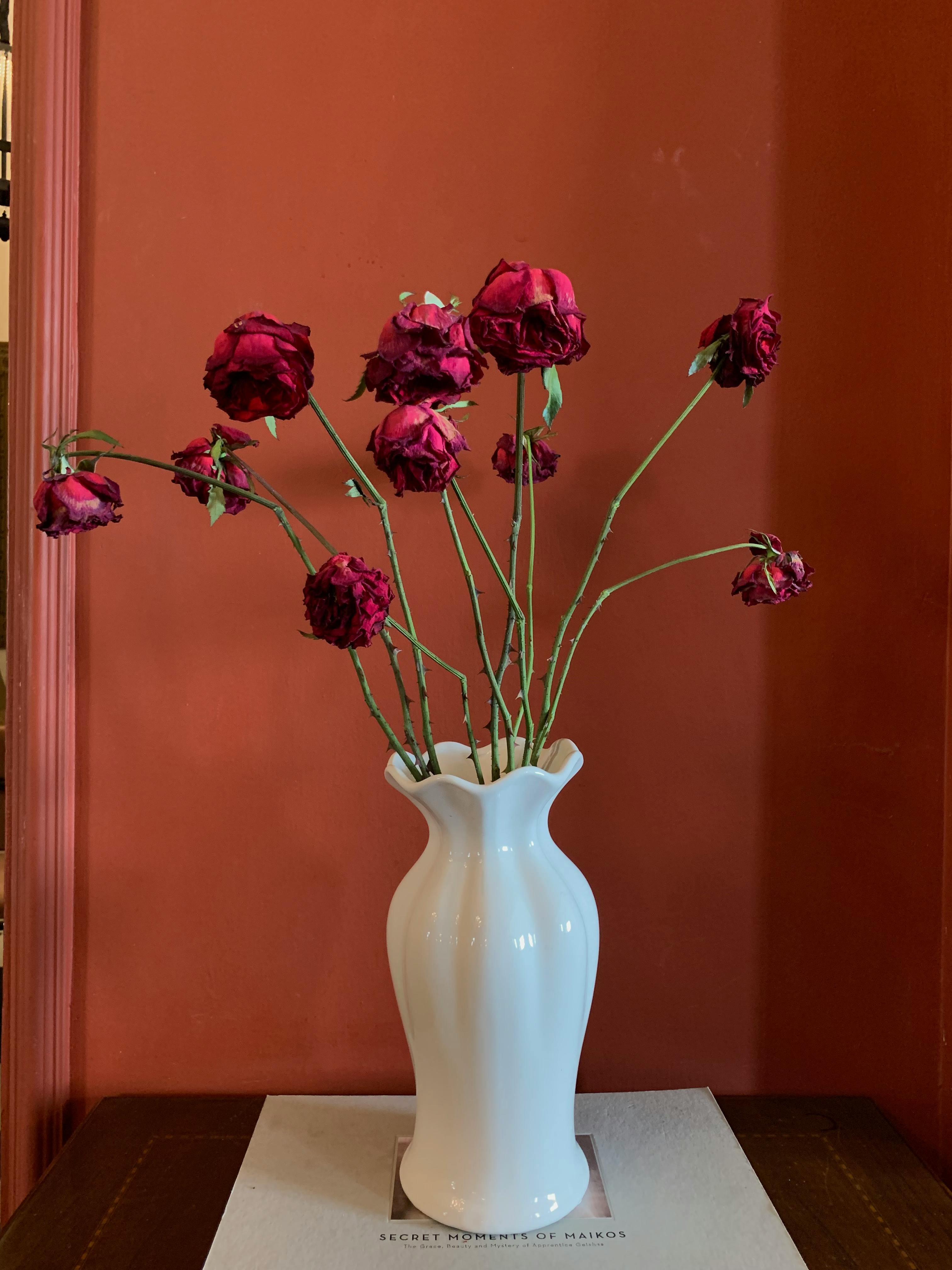 ฟรี ภาพนิ่งที่สวยงาม depicting ดอกกุหลาบแห้งสีแดงสดในแจกันสีขาวแบบคลาสสิก บนพื้นหลังสีเอิร์ธโทนอบอุ่น คลังภาพถ่าย