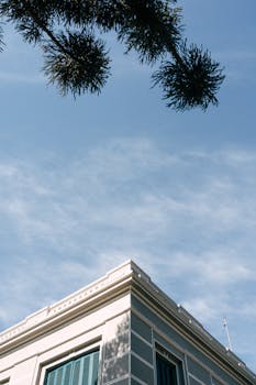 Low-angle view of a building corner and tree branch under a clear blue sky in Curitiba, Brazil.