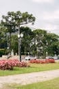 Beautiful Park in Curitiba: Nature and Architecture