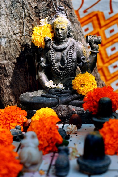 Free A statue of Lord Shiva adorned with marigold flowers under sunlight, highlighting Indian cultural worship. Stock Photo