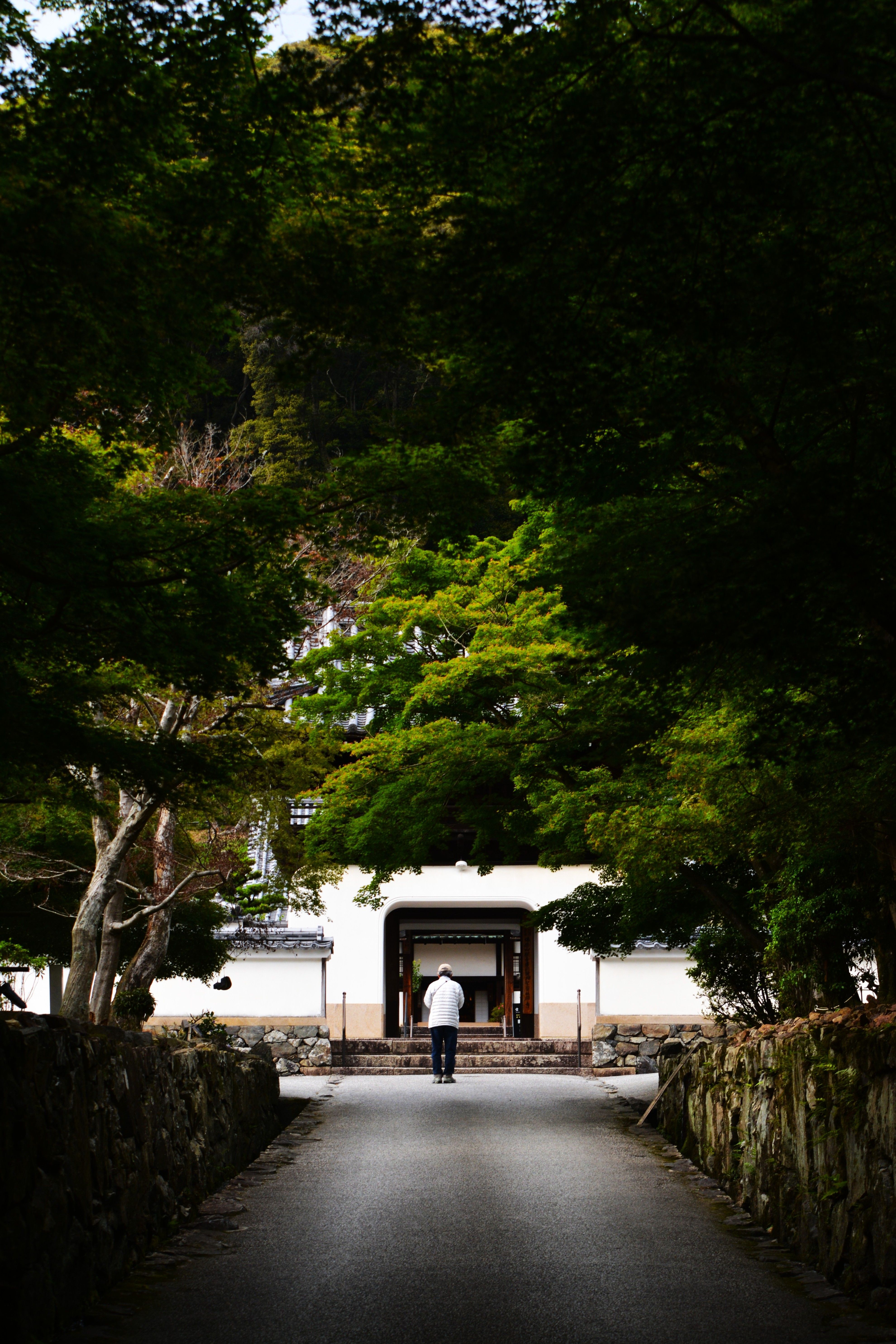 A solitary figure walks towards a serene traditional Japanese building surrounded by lush greenery.