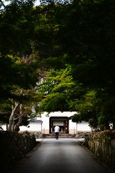 A solitary figure walks towards a serene traditional Japanese building surrounded by lush greenery.