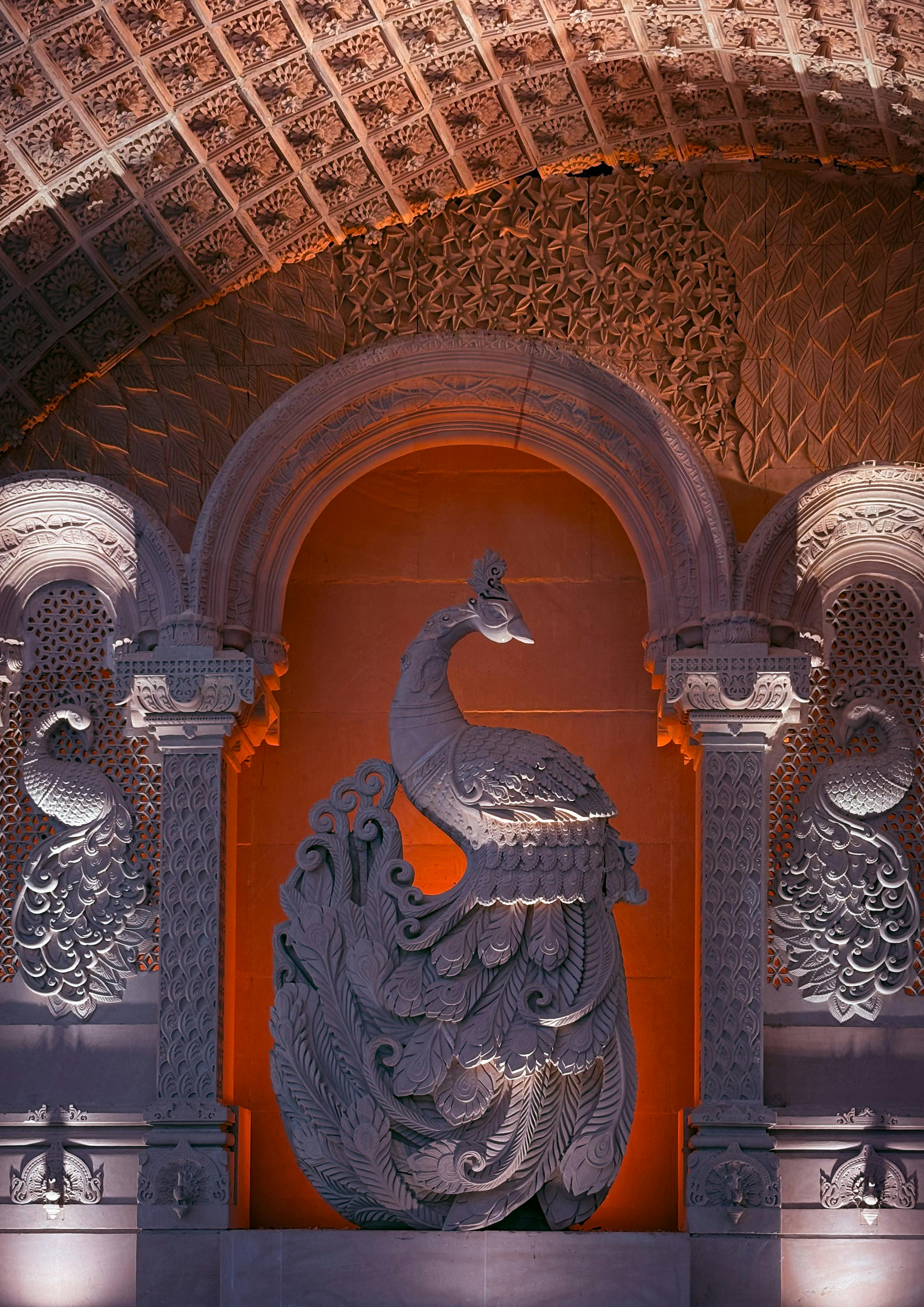 ฟรี คลังภาพถ่ายฟรี ของ # ในร่ม, การสำรวจ, ขนนก คลังภาพถ่าย