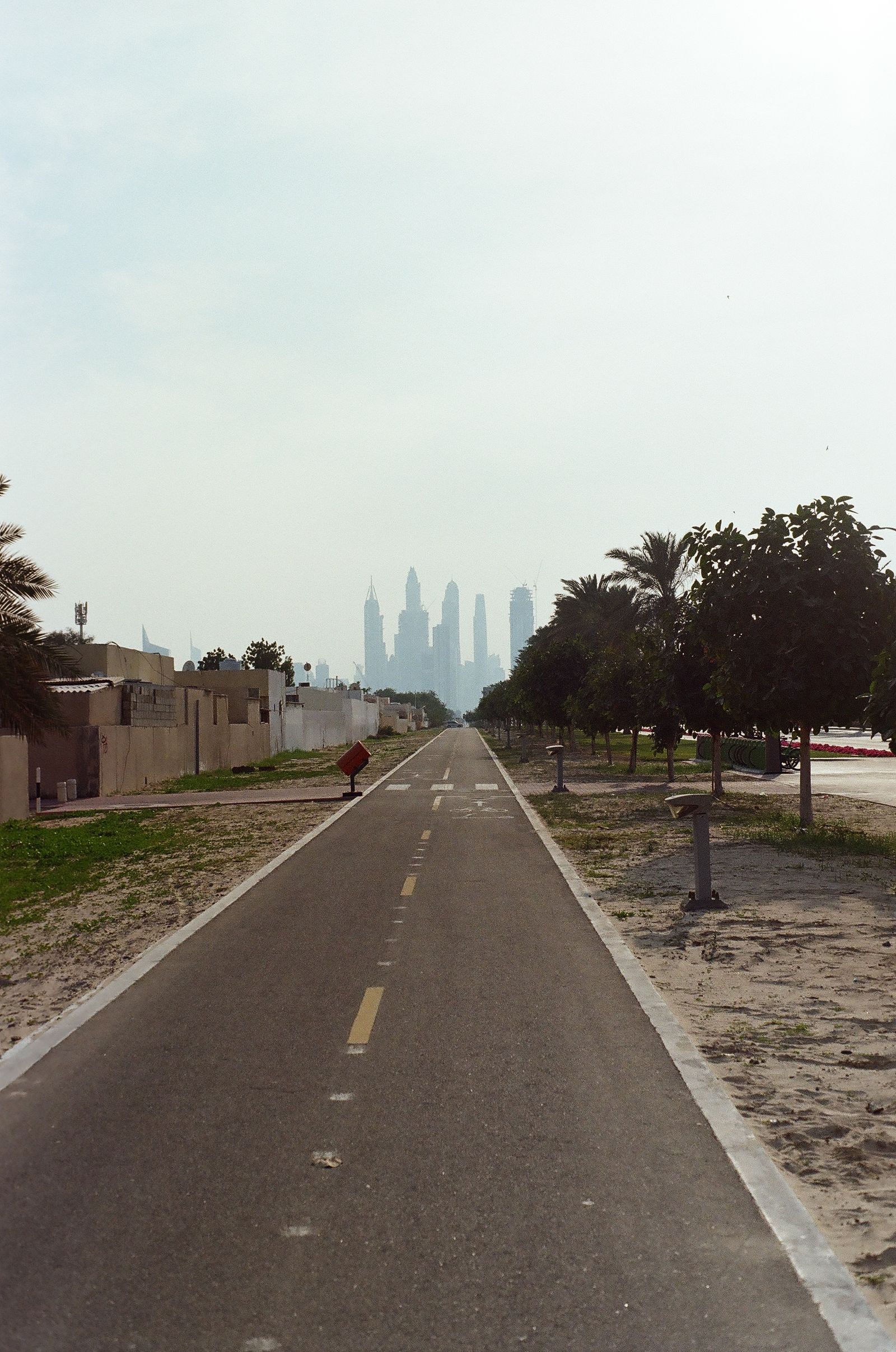 A tree-lined suburban road in Dubai with the distant city skyline on the horizon