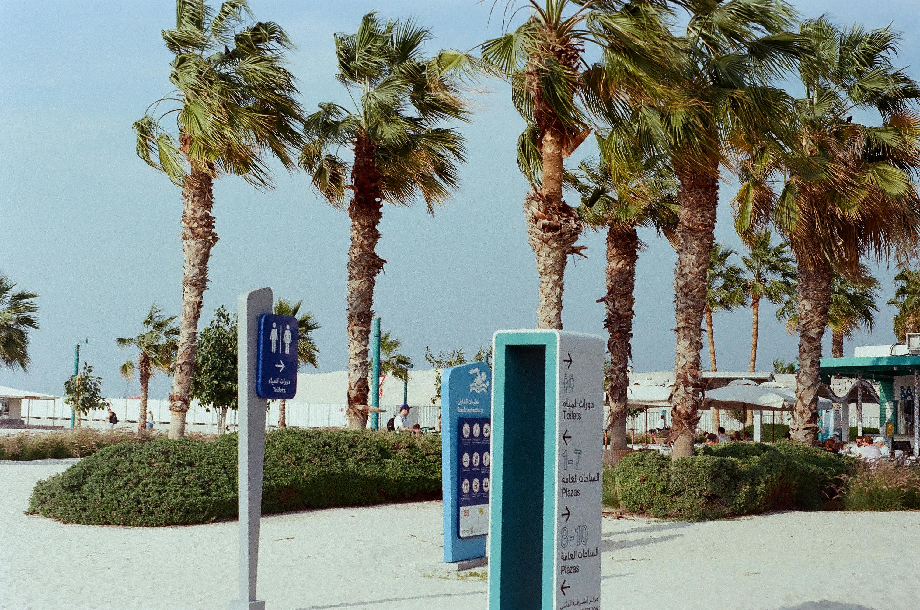 Bezpłatne Tętniący życiem widok palm i szyldów na słonecznej plaży w Dubaju. Zdjęcie z galerii