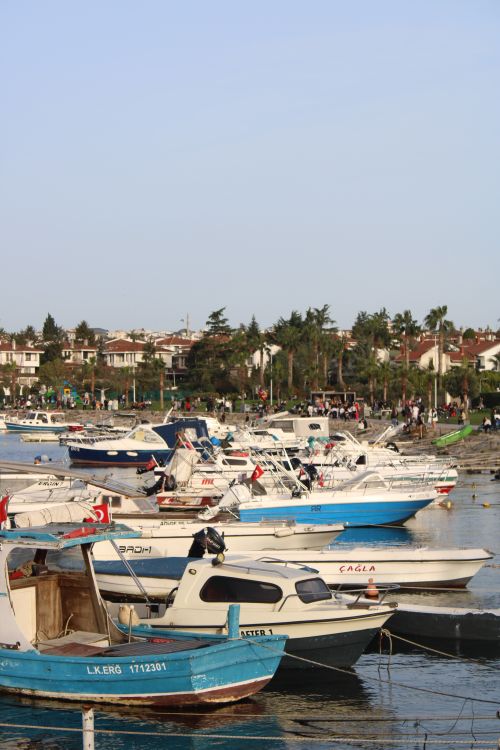 Free A vibrant marina with boats docked by the shore under a clear blue sky, surrounded by greenery. Stock Photo
