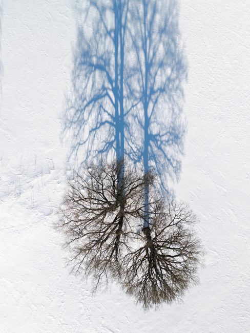 Drone capture of tree shadows cast on a pristine snowy field, highlighting winter textures.