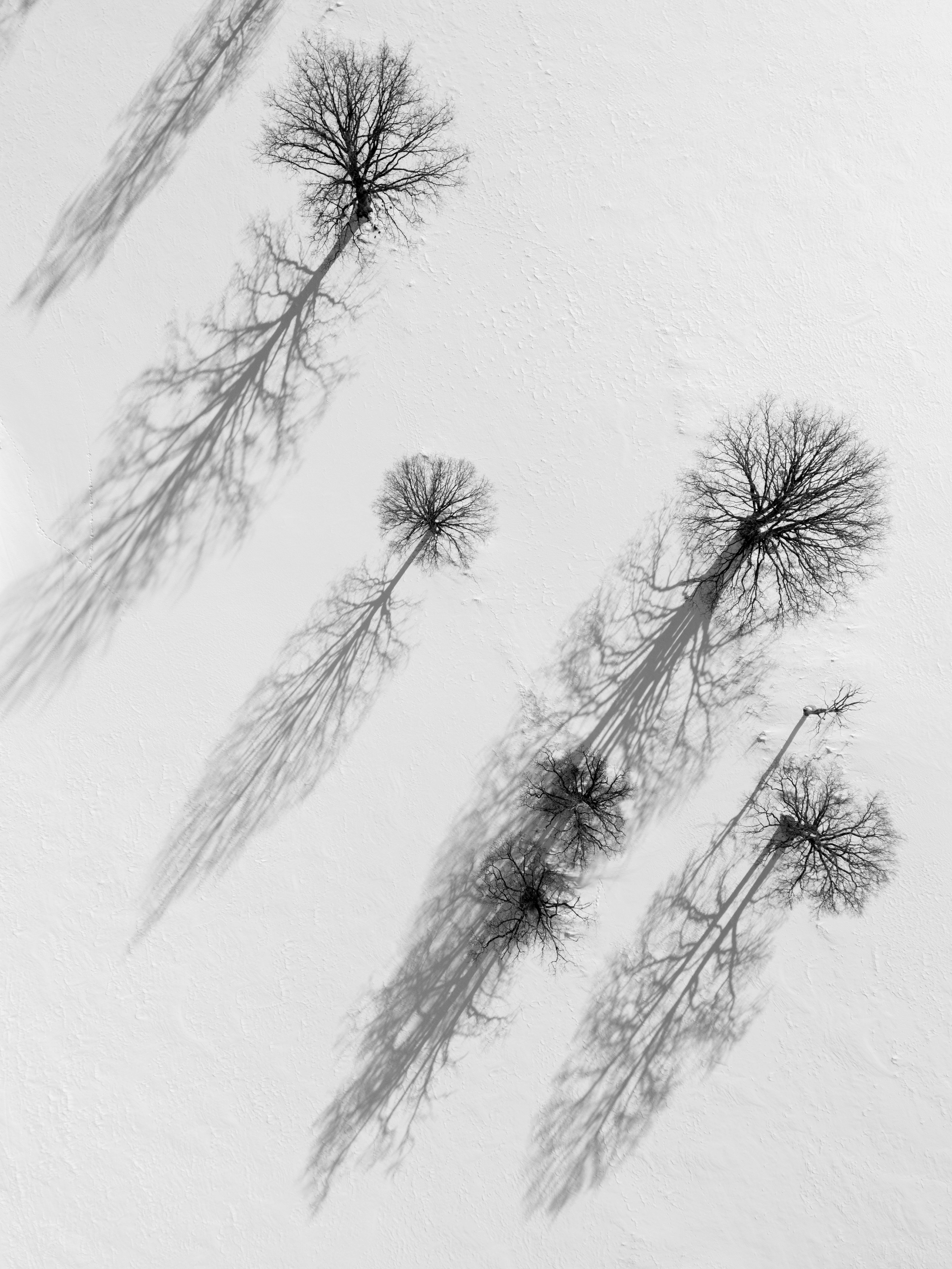 Ücretsiz 4k, 4k dikey, 4k duvar kağıdı içeren Ücretsiz stok fotoğraf Stok Fotoğraflar