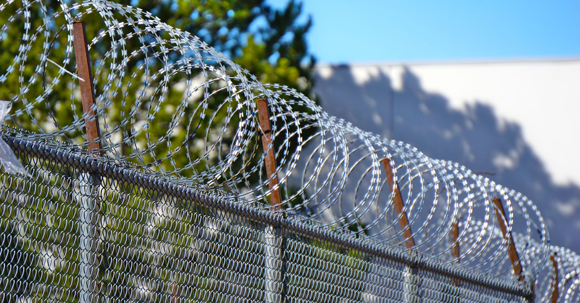 ICE Grievance System Collapses as Detainee Deaths Rise to 53