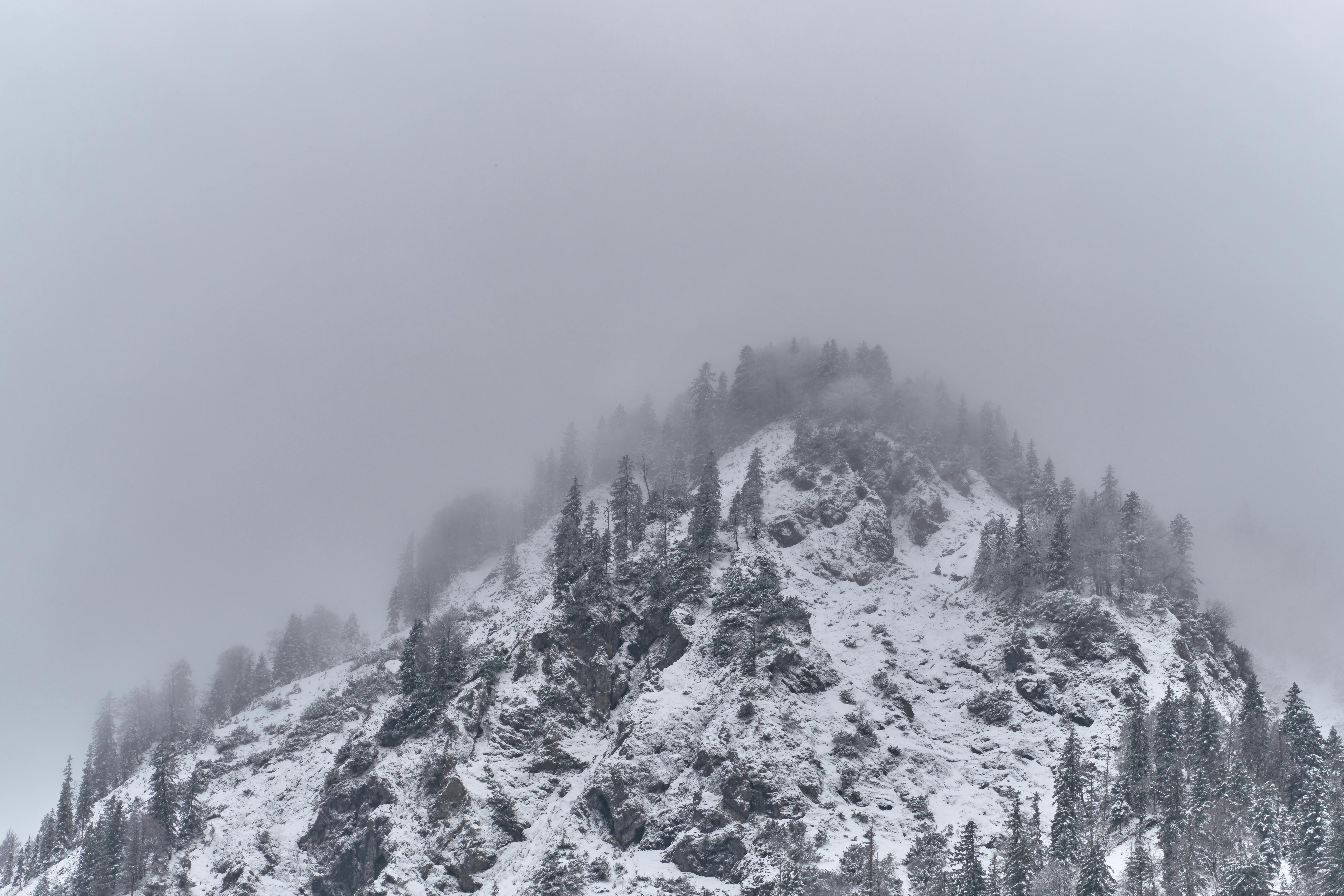 Gratis Fængslende udsigt over en snedækket bjergtop indhyllet i tåge i Kreuth, Bayern. Lagerfoto