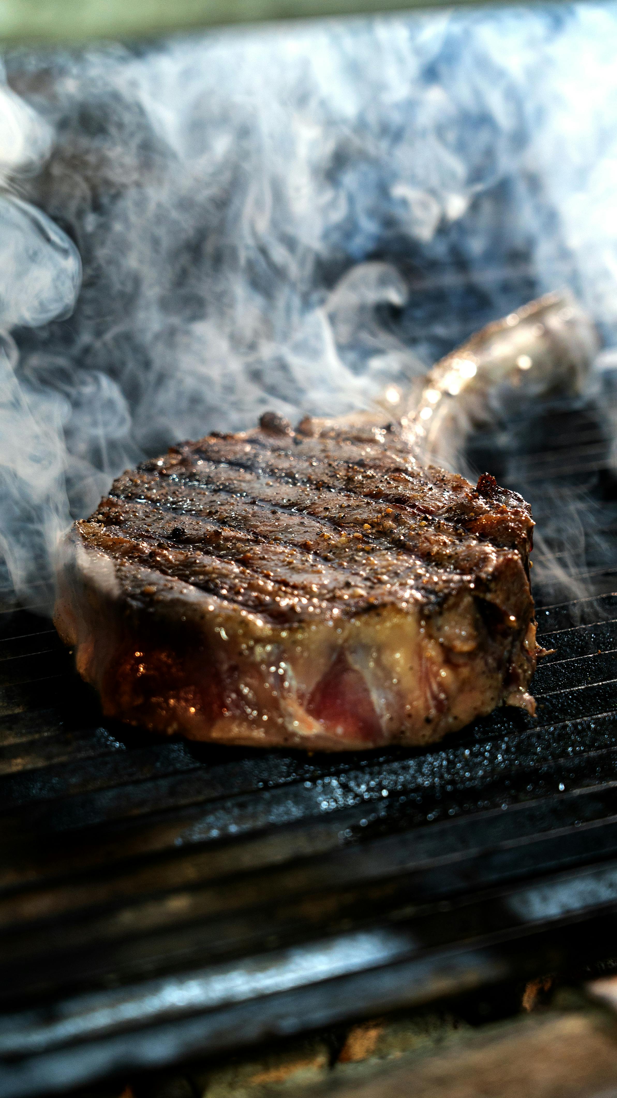 Why Different Meats Need Different Target Temperatures: A Complete Guide