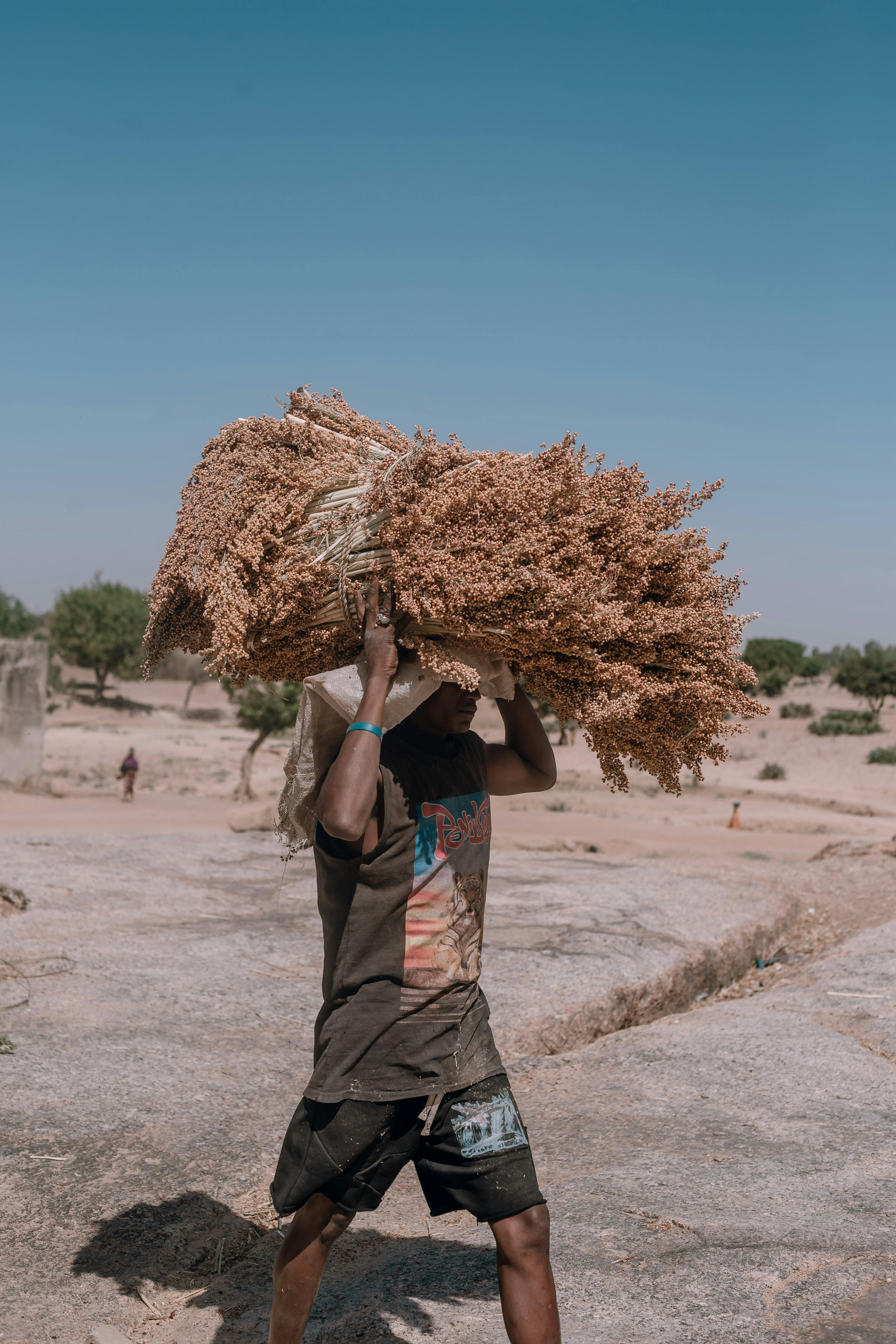 Biofarm insights image