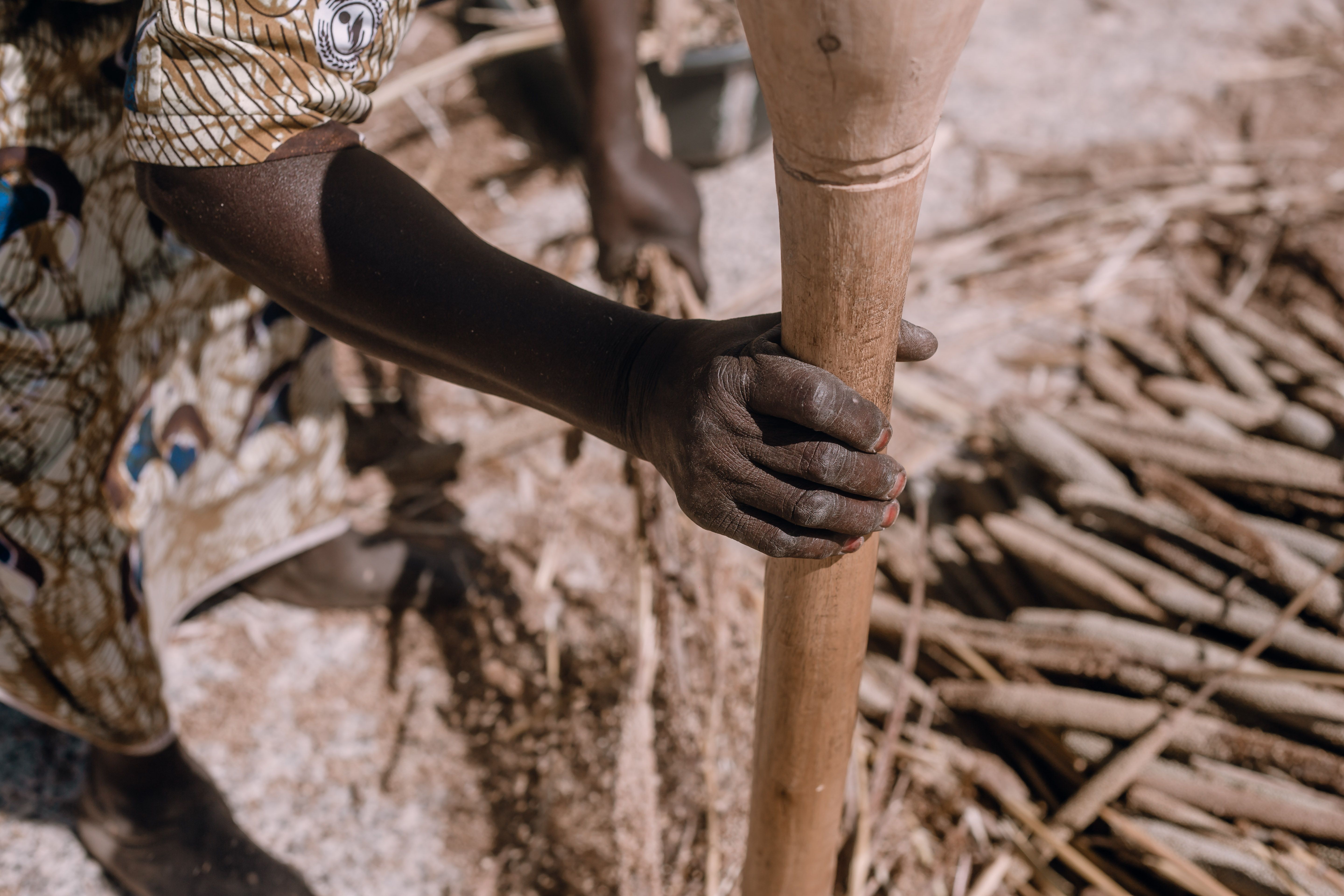 Nigerian Farmers Partnership