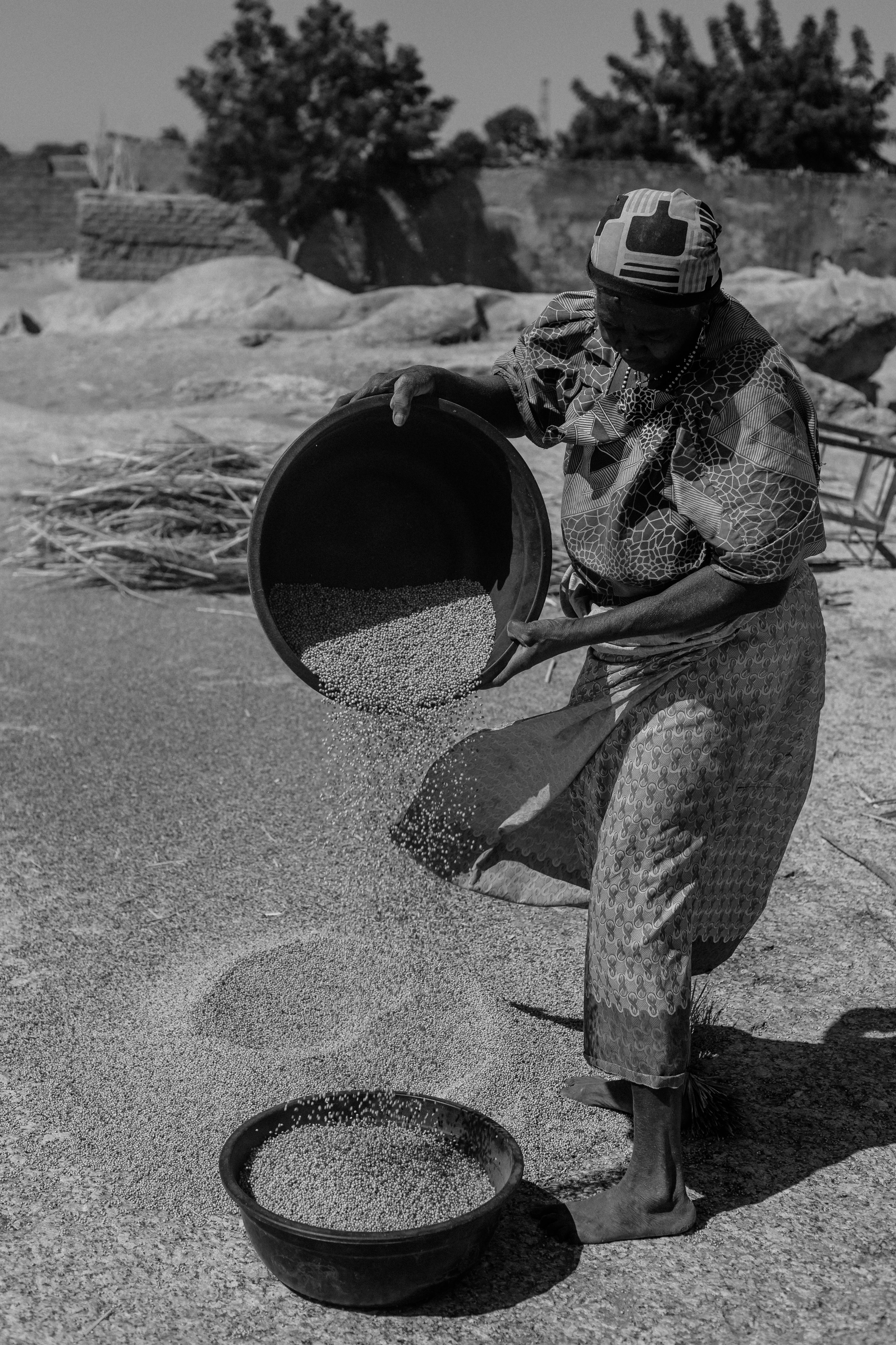 grátis Uma mulher africana praticando a tradicional debulha de grãos ao ar livre na Nigéria. Foto profissional